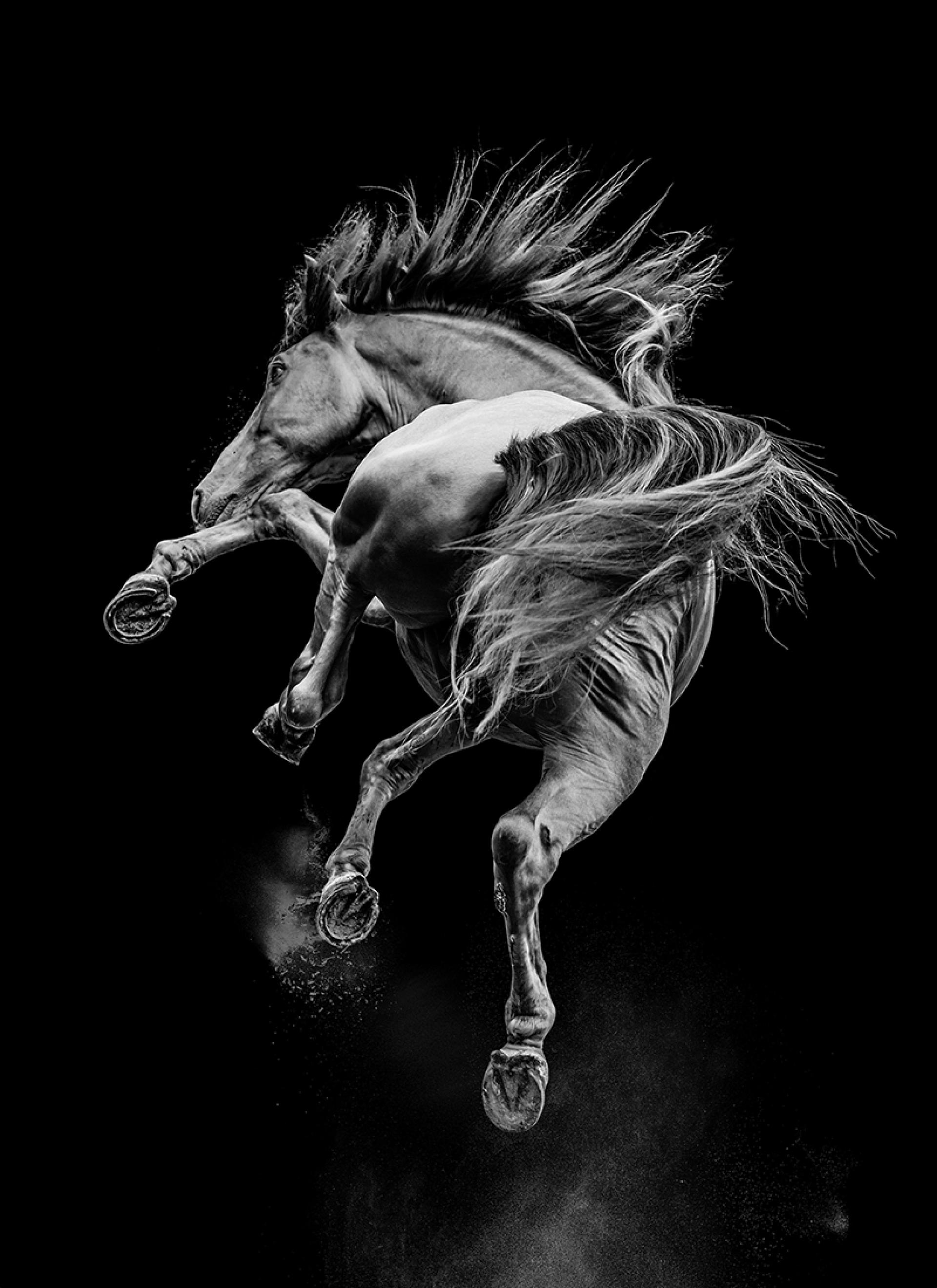 London Photography Awards Winner - contortionist