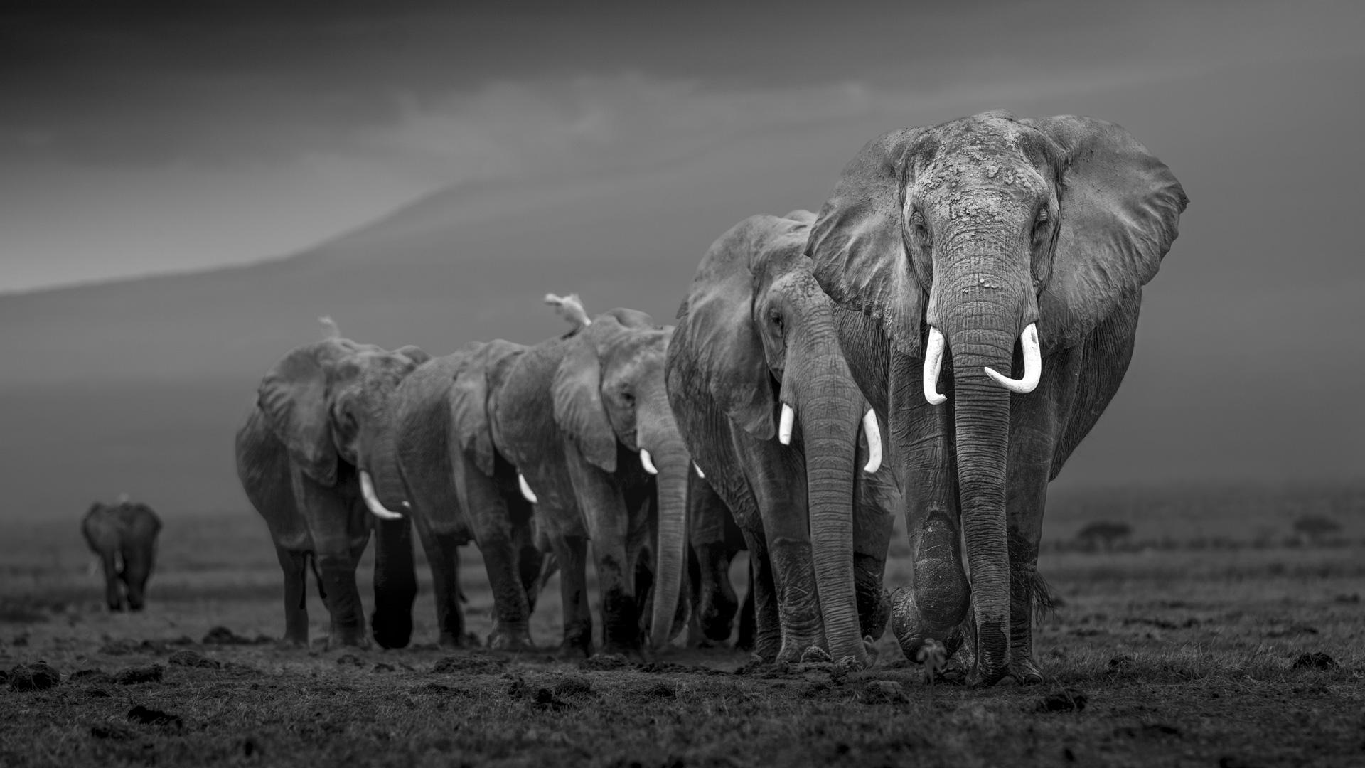 London Photography Awards Winner - At the Foot of the Mountain