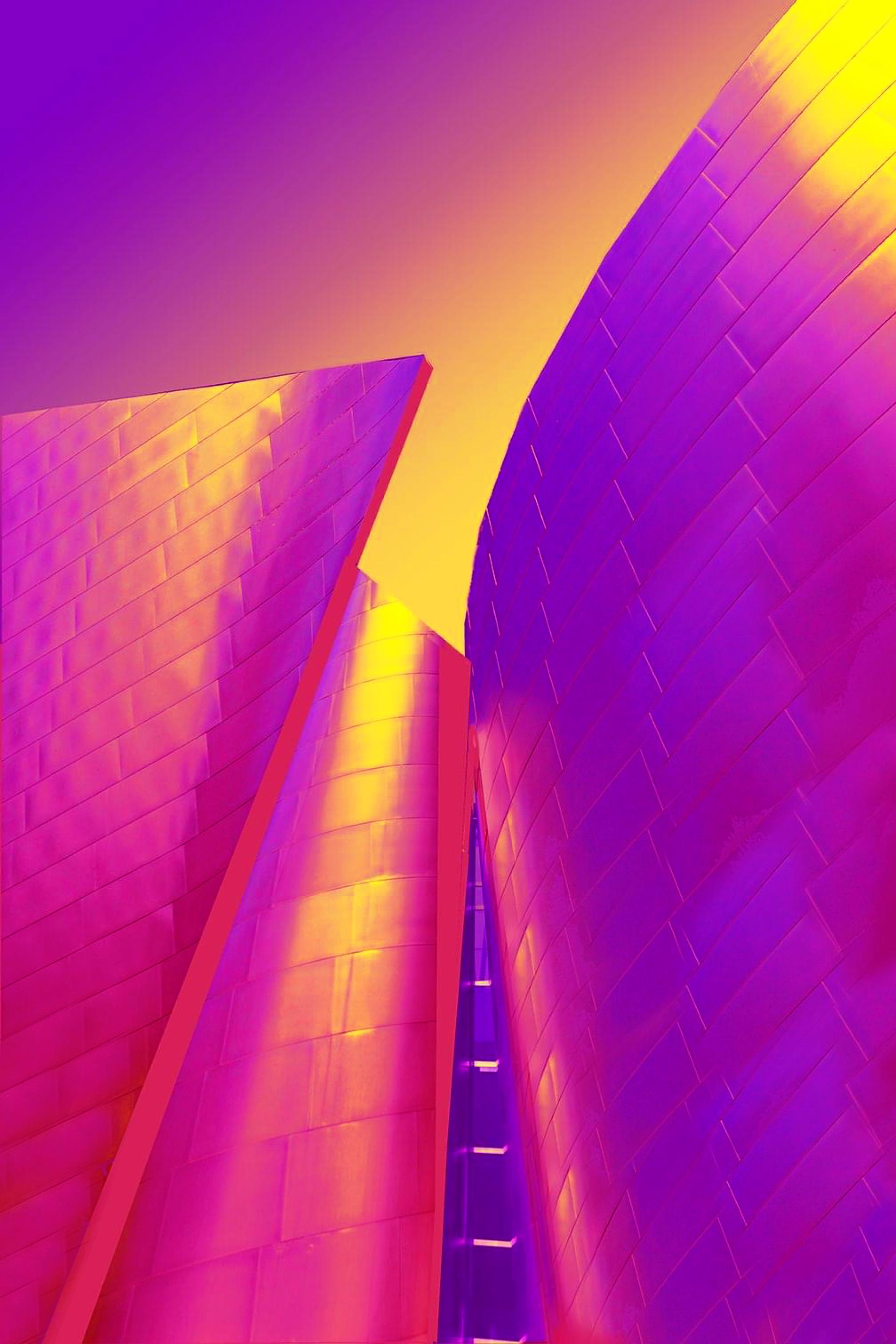 London Photography Awards Winner - Wonderlands
