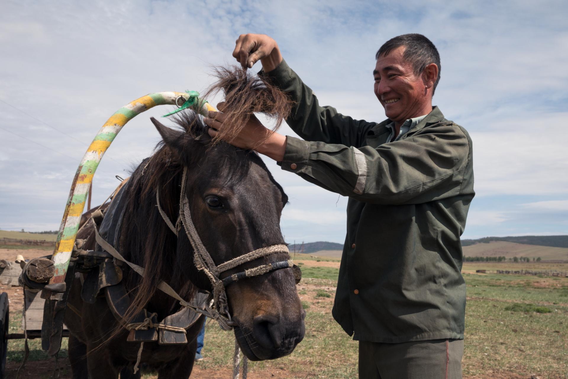 London Photography Awards Winner - People and horses