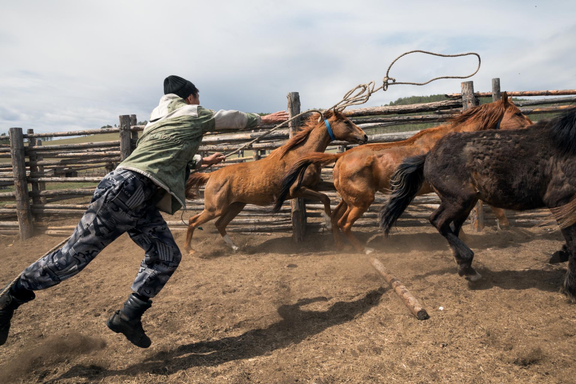 London Photography Awards Winner - People and horses