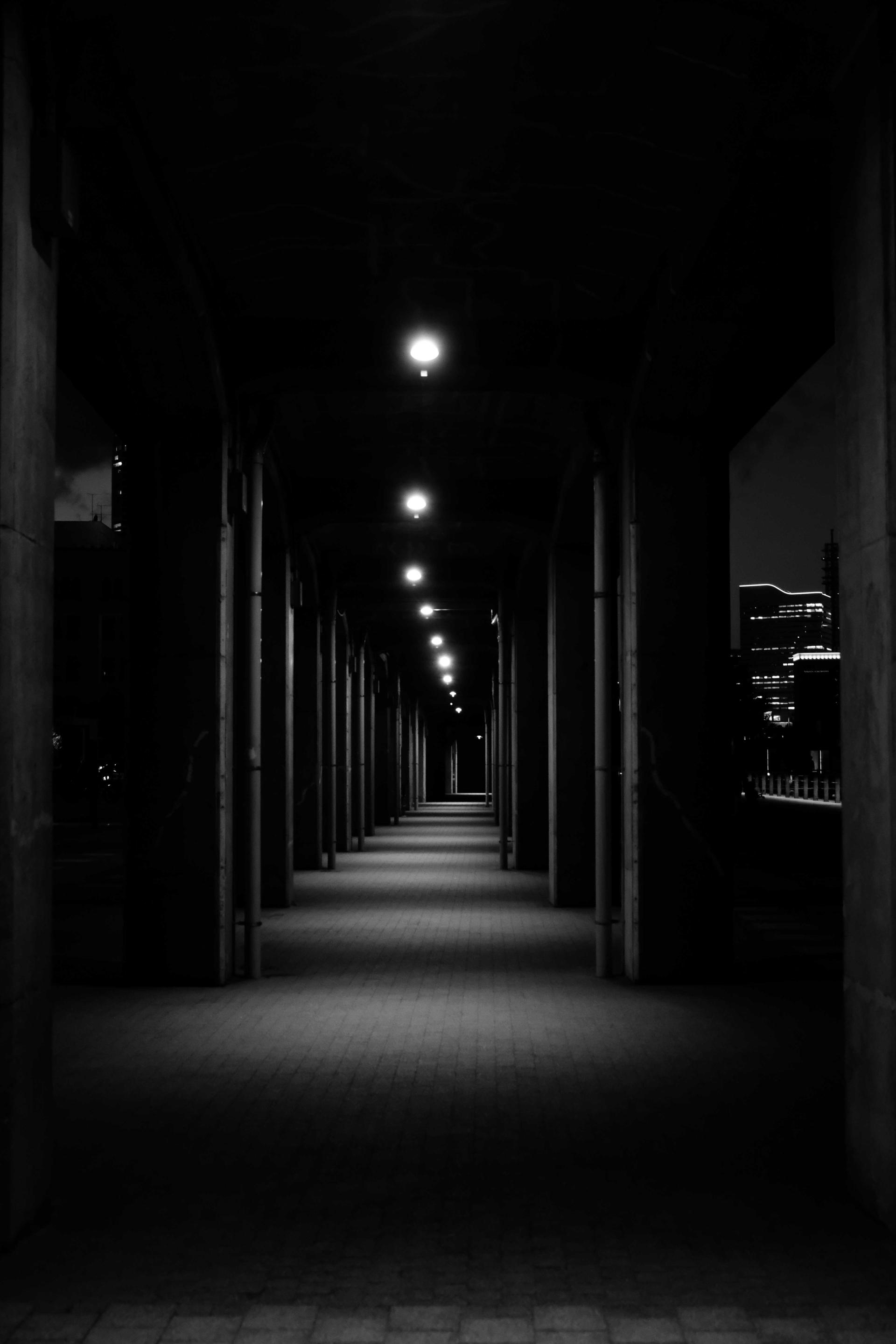 London Photography Awards Winner - Take in