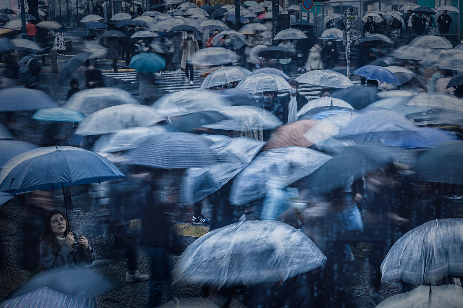 London Photography Awards Winner - RAINY BLUES