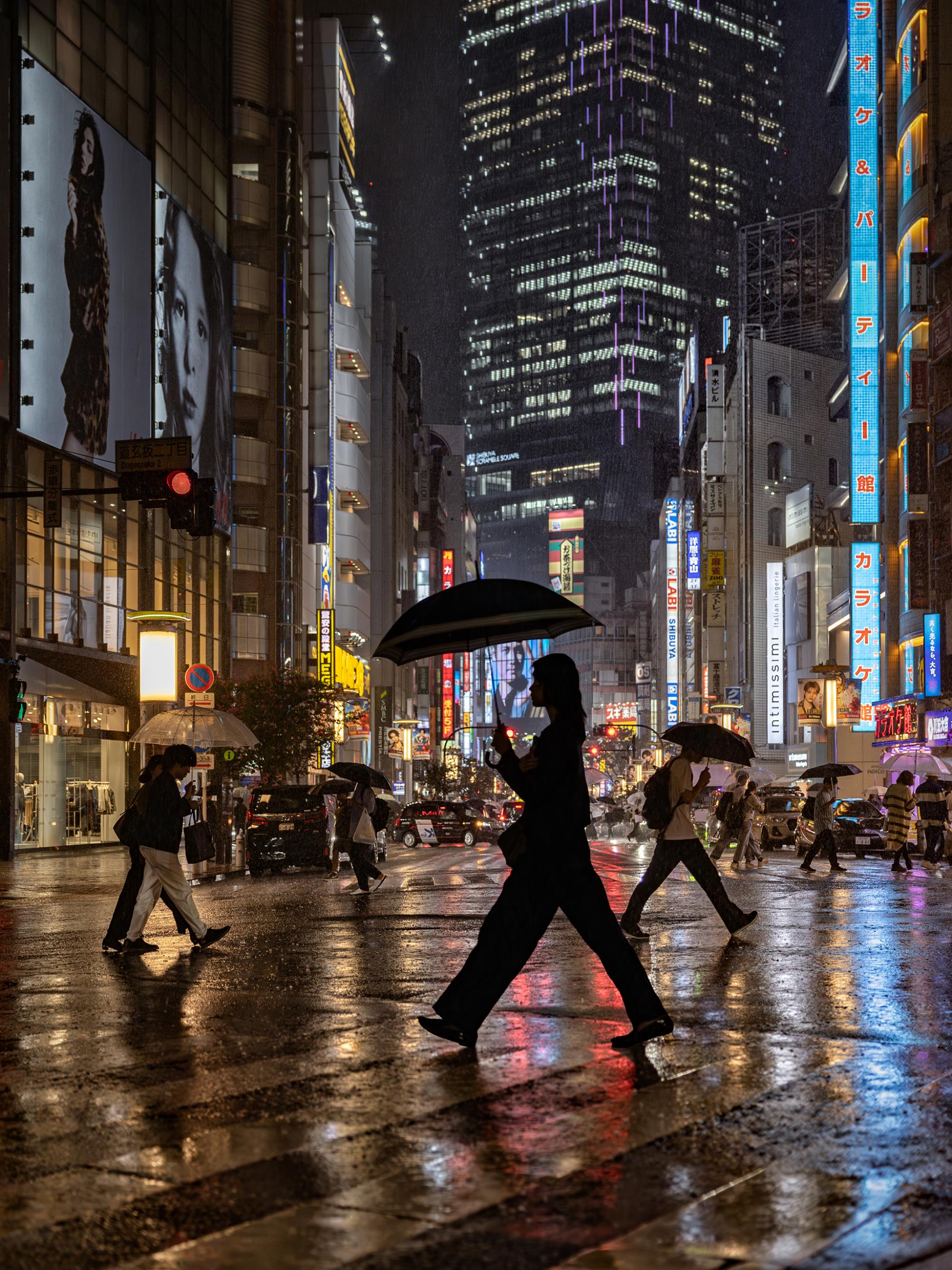 London Photography Awards Winner - Walk Gallantly