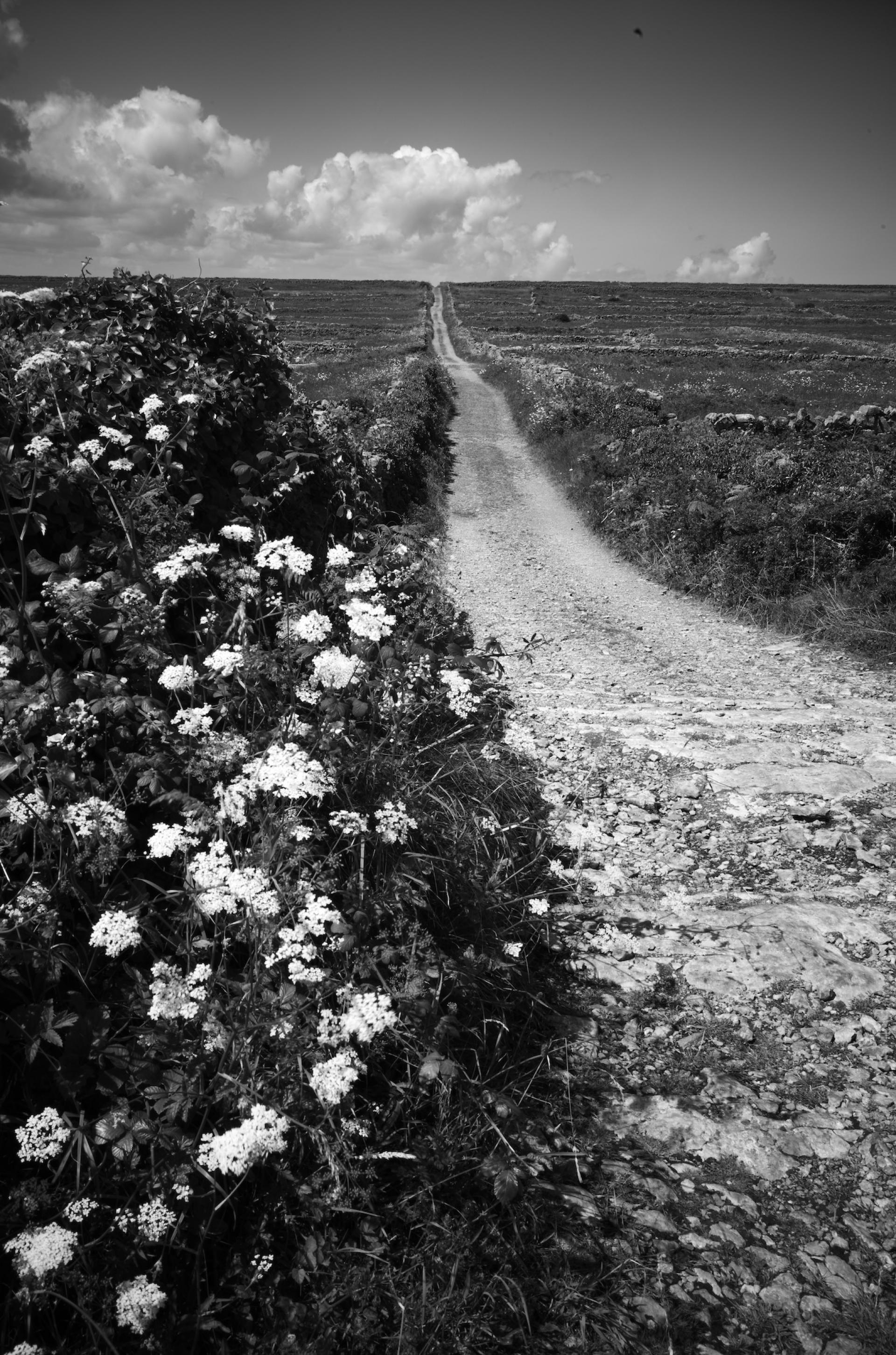 London Photography Awards Winner - Upper Lane on Inishmore