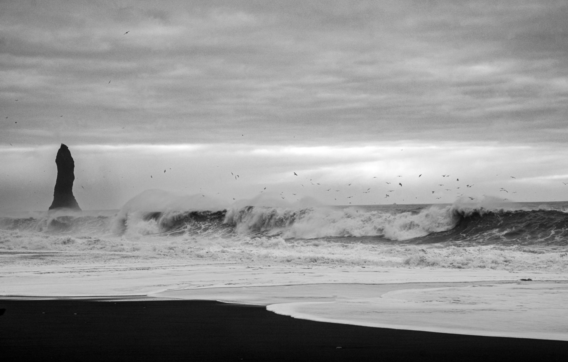 London Photography Awards Winner - Black Birds of Iceland (World)