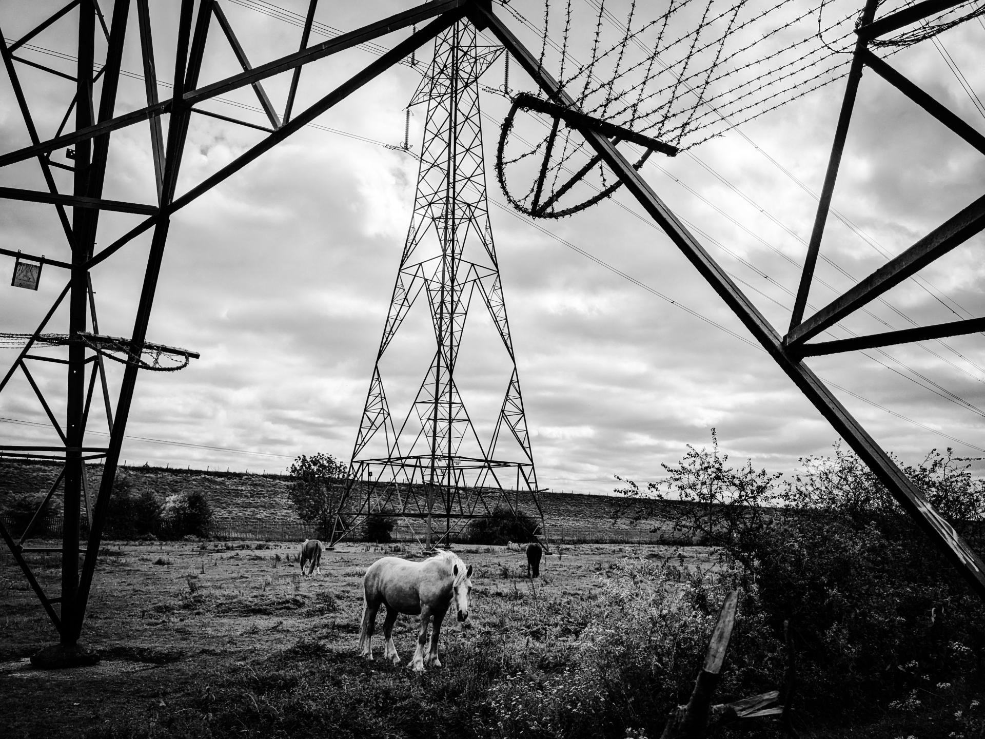 London Photography Awards Winner - Whose land is it anyway?