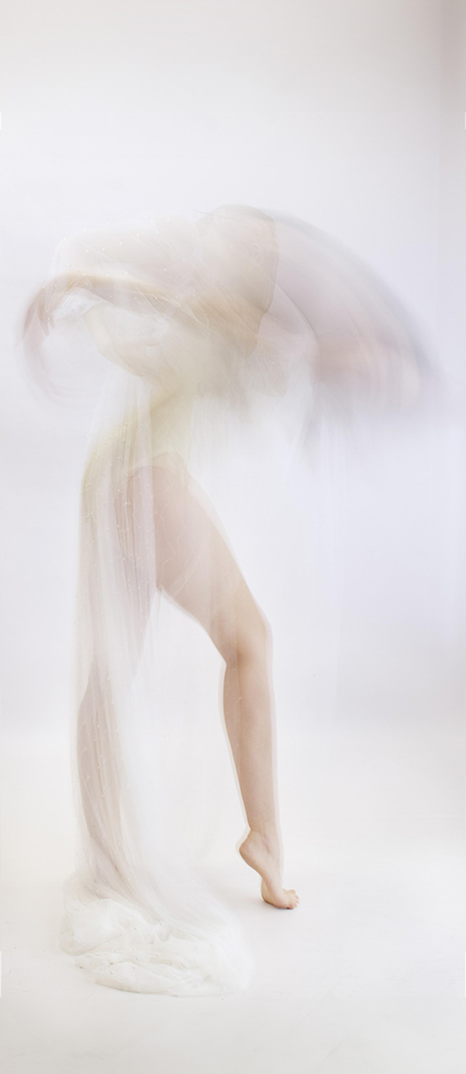 London Photography Awards Winner - Methamorphosy