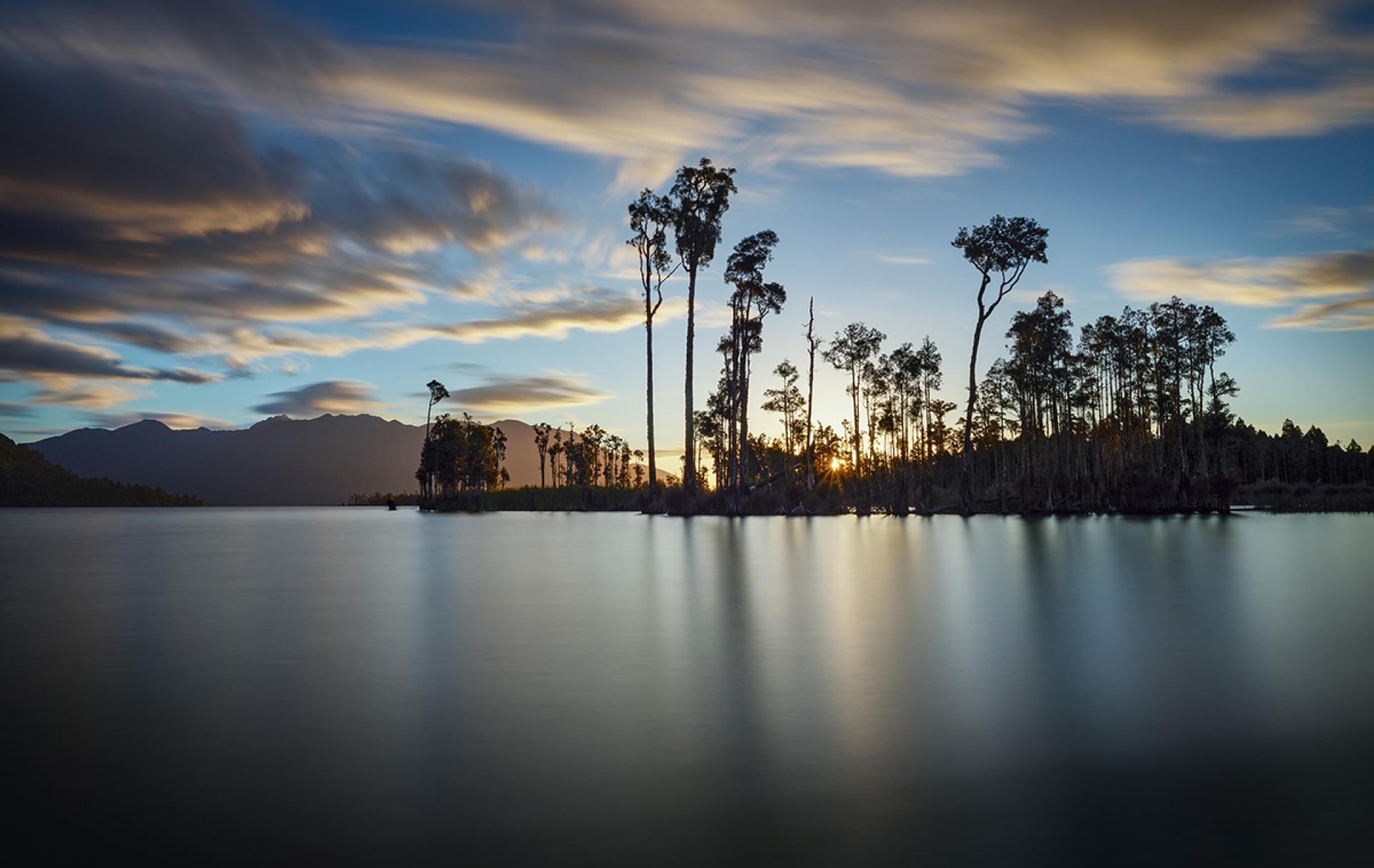 London Photography Awards Winner - Lake Brunner