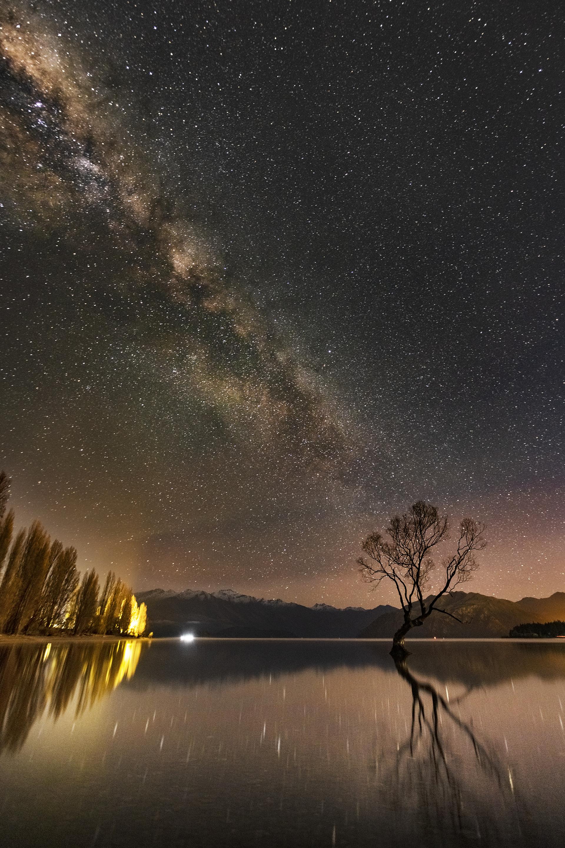 London Photography Awards Winner - The Lonely Tree
