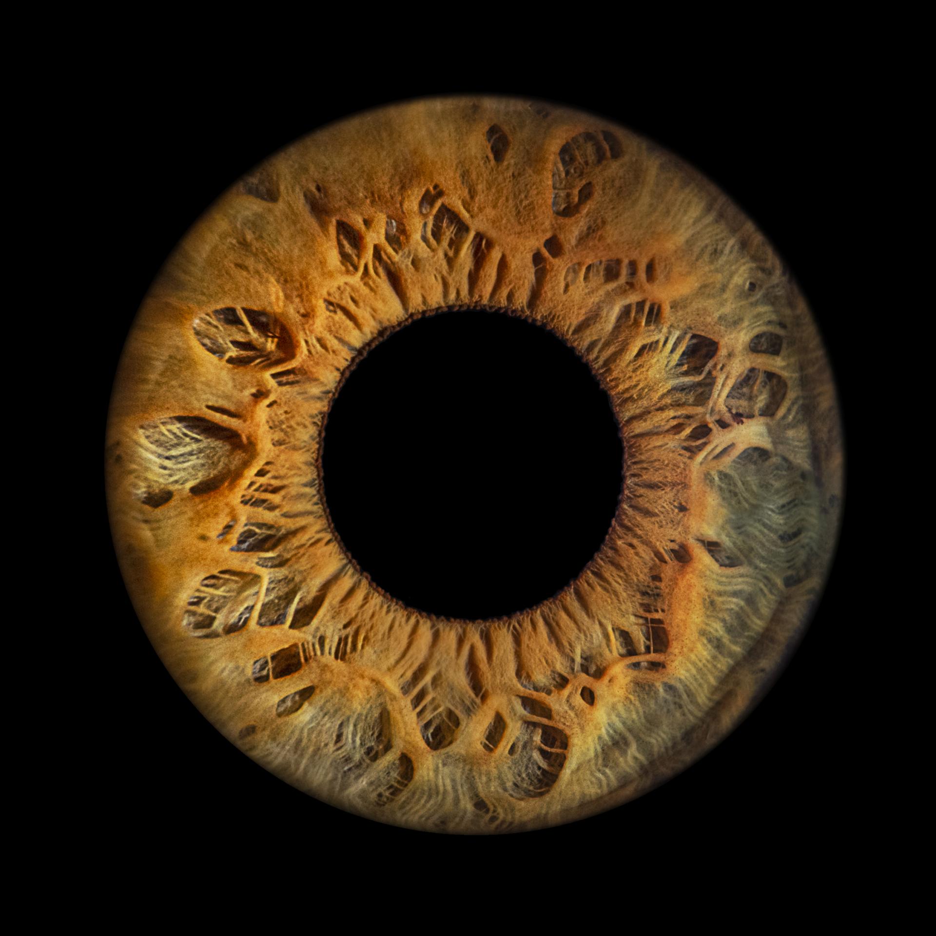London Photography Awards Winner - Human Landscapes