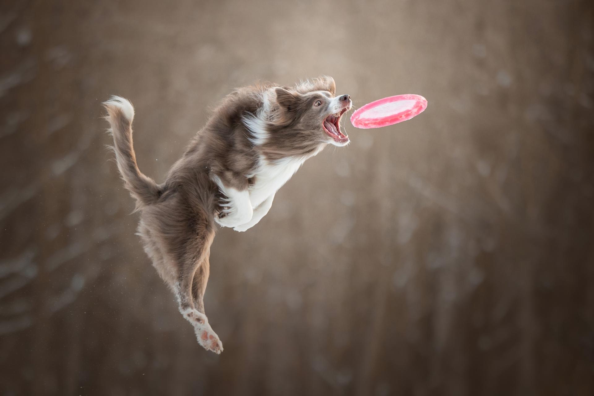 London Photography Awards Winner - Brilliant Blast