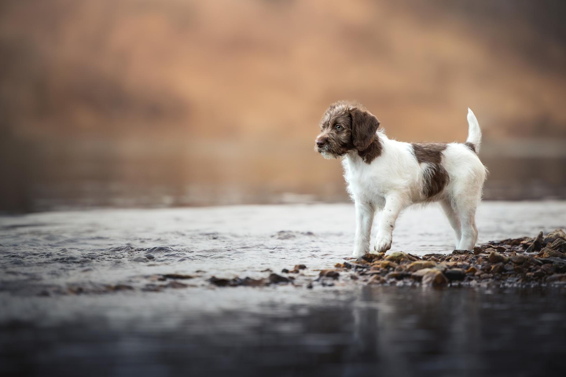 London Photography Awards Winner - Young Explorer