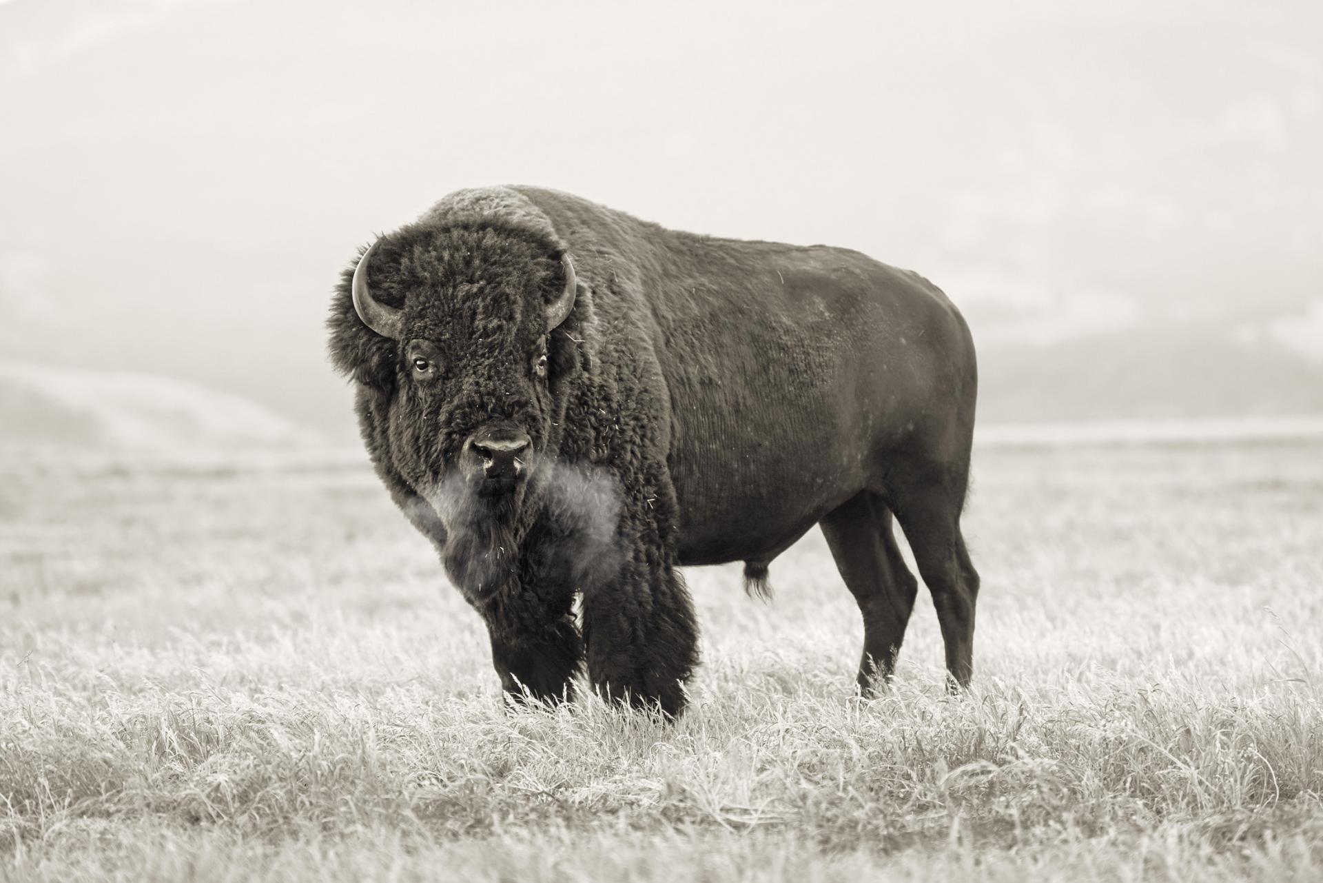 London Photography Awards Winner - Romance of the American West
