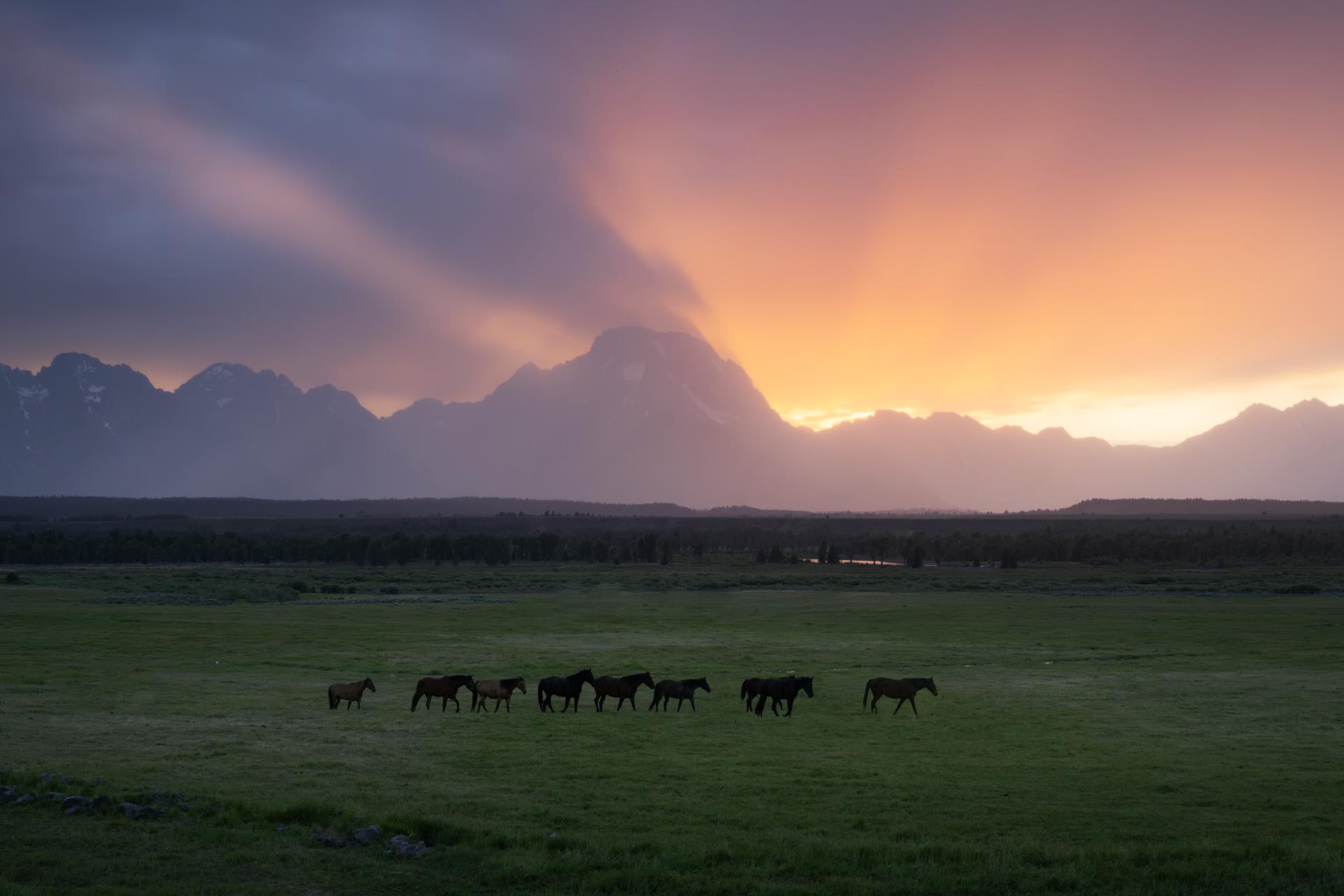 London Photography Awards Winner - Romance of the American West