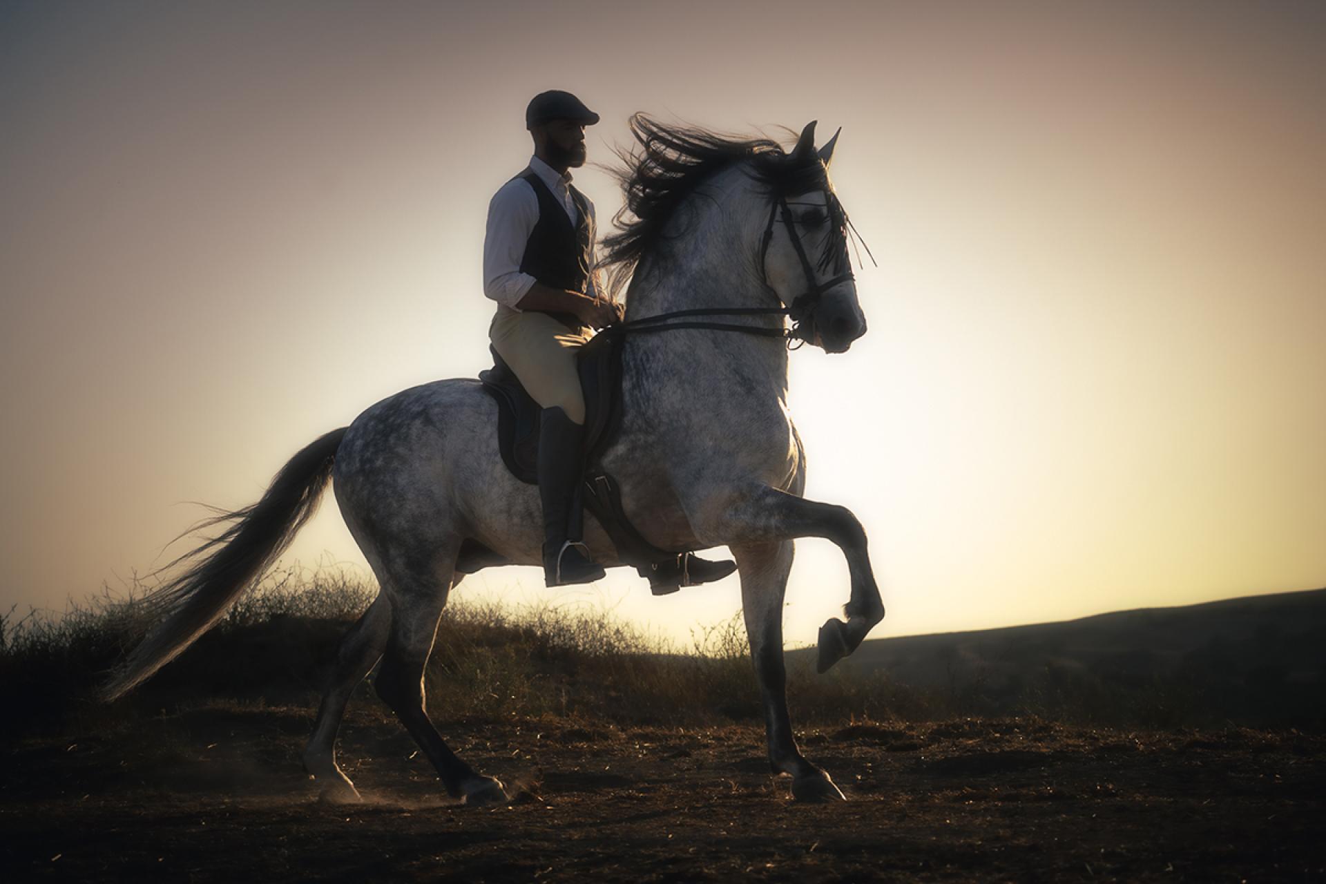 London Photography Awards Winner - Ethereal Equus