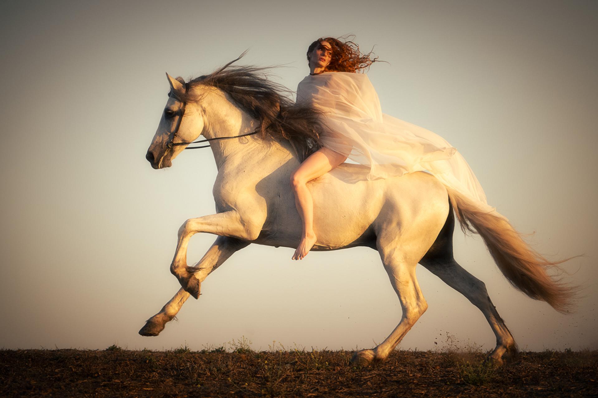 London Photography Awards Winner - Ethereal Equus