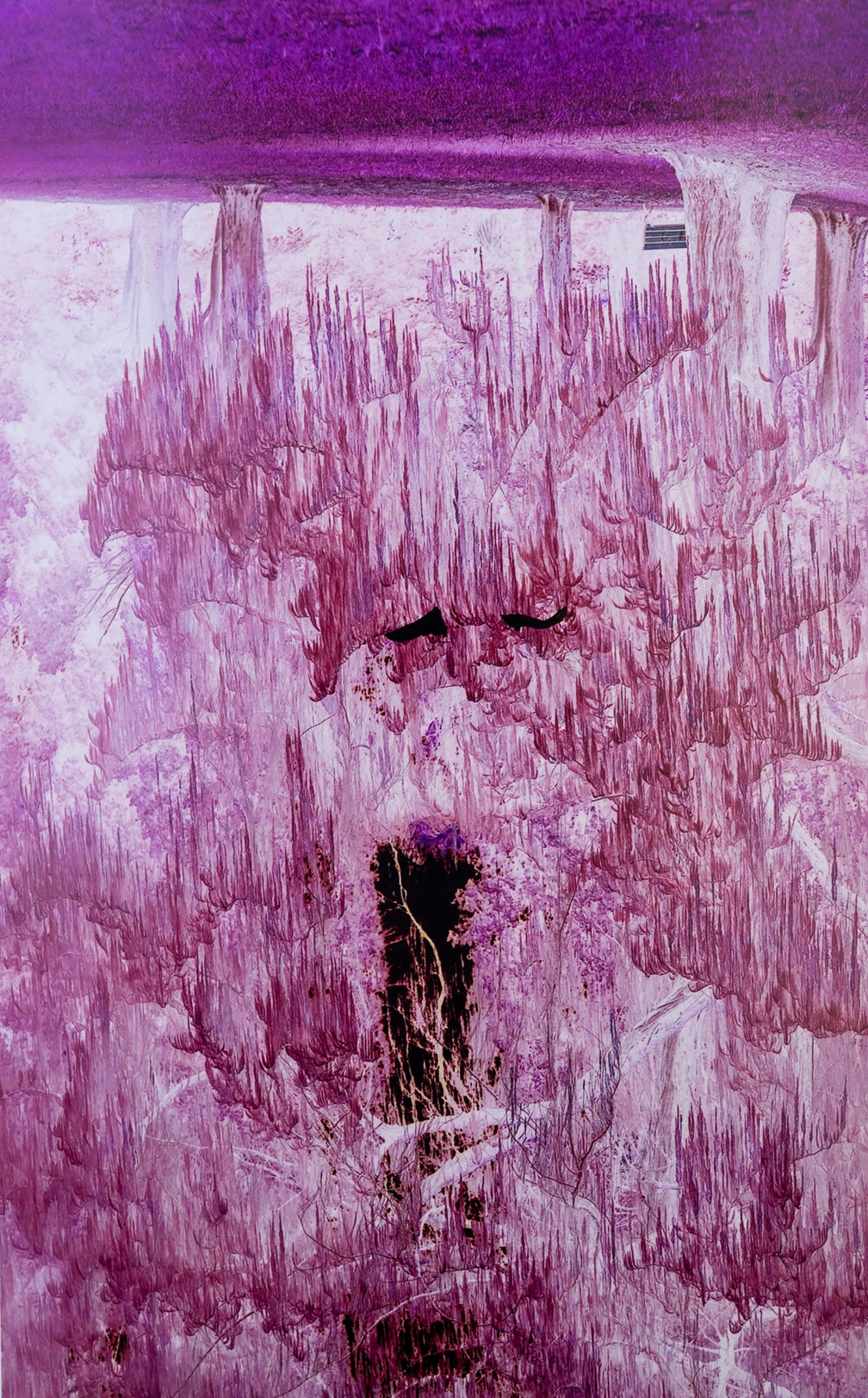 London Photography Awards Winner - The Roots of the Self/
