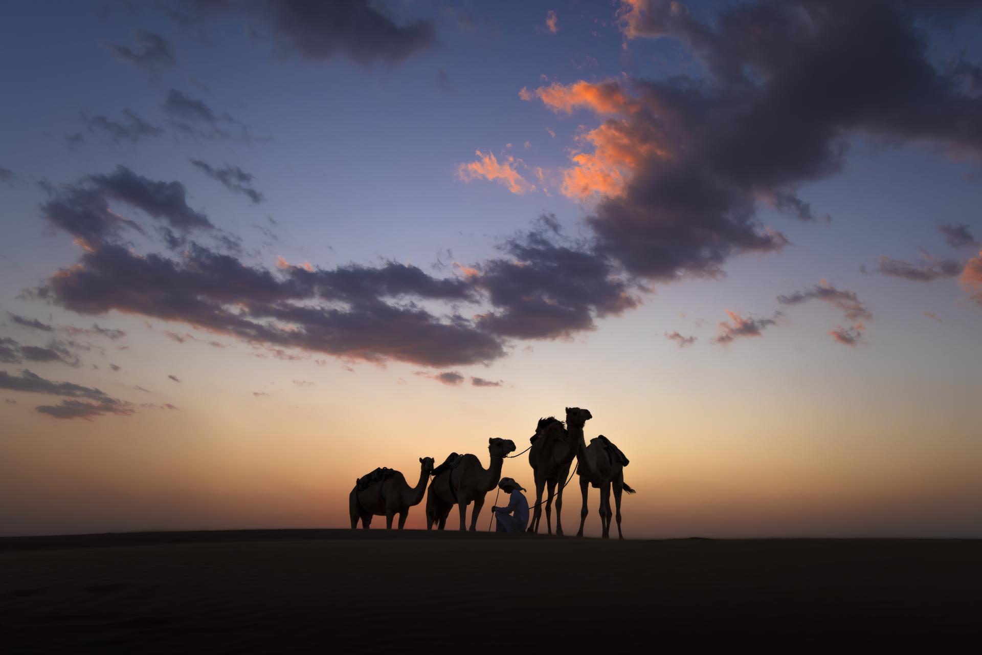 London Photography Awards Winner - Twilight Caravan