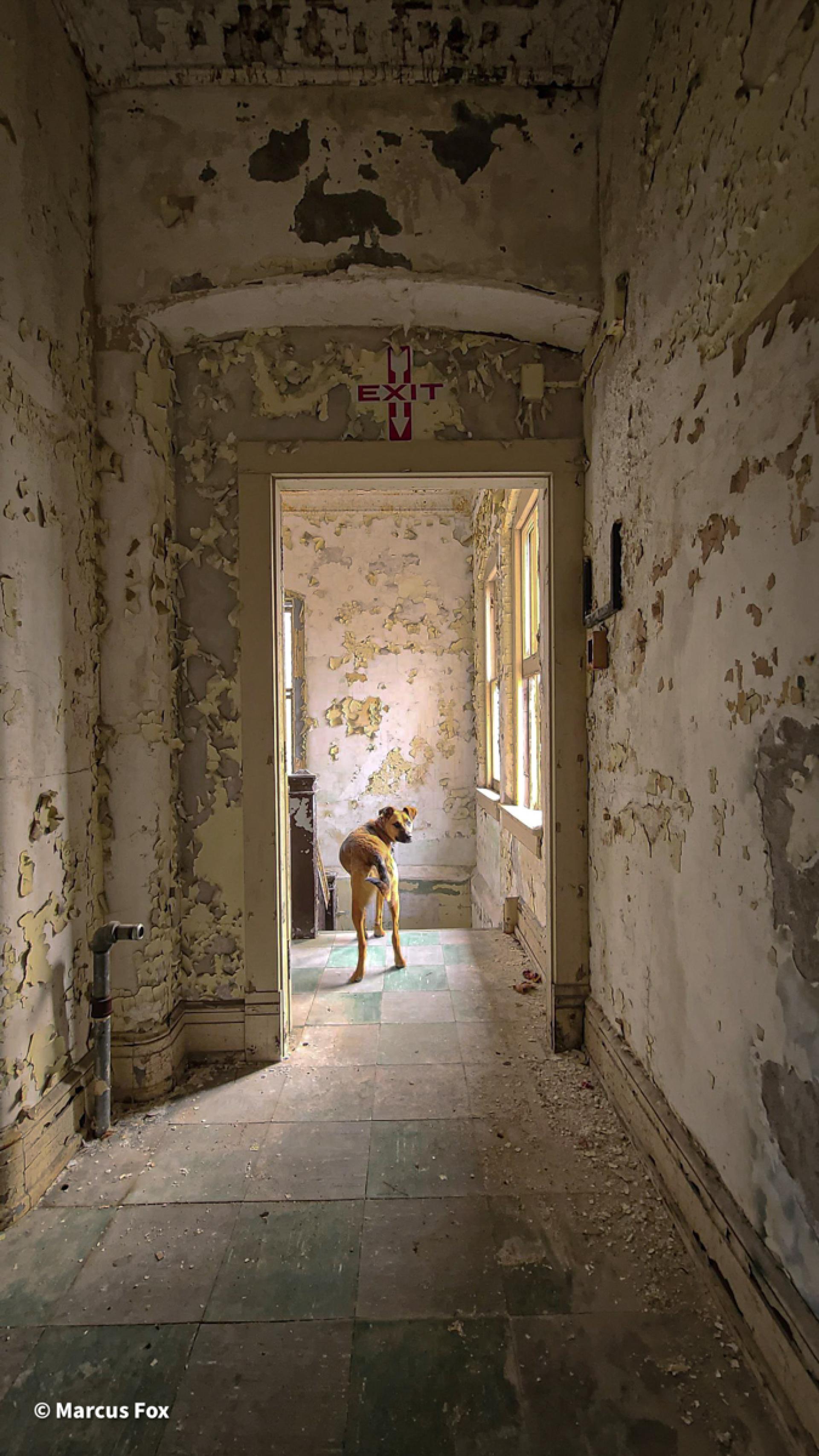 London Photography Awards Winner - Echoes of Abandonment