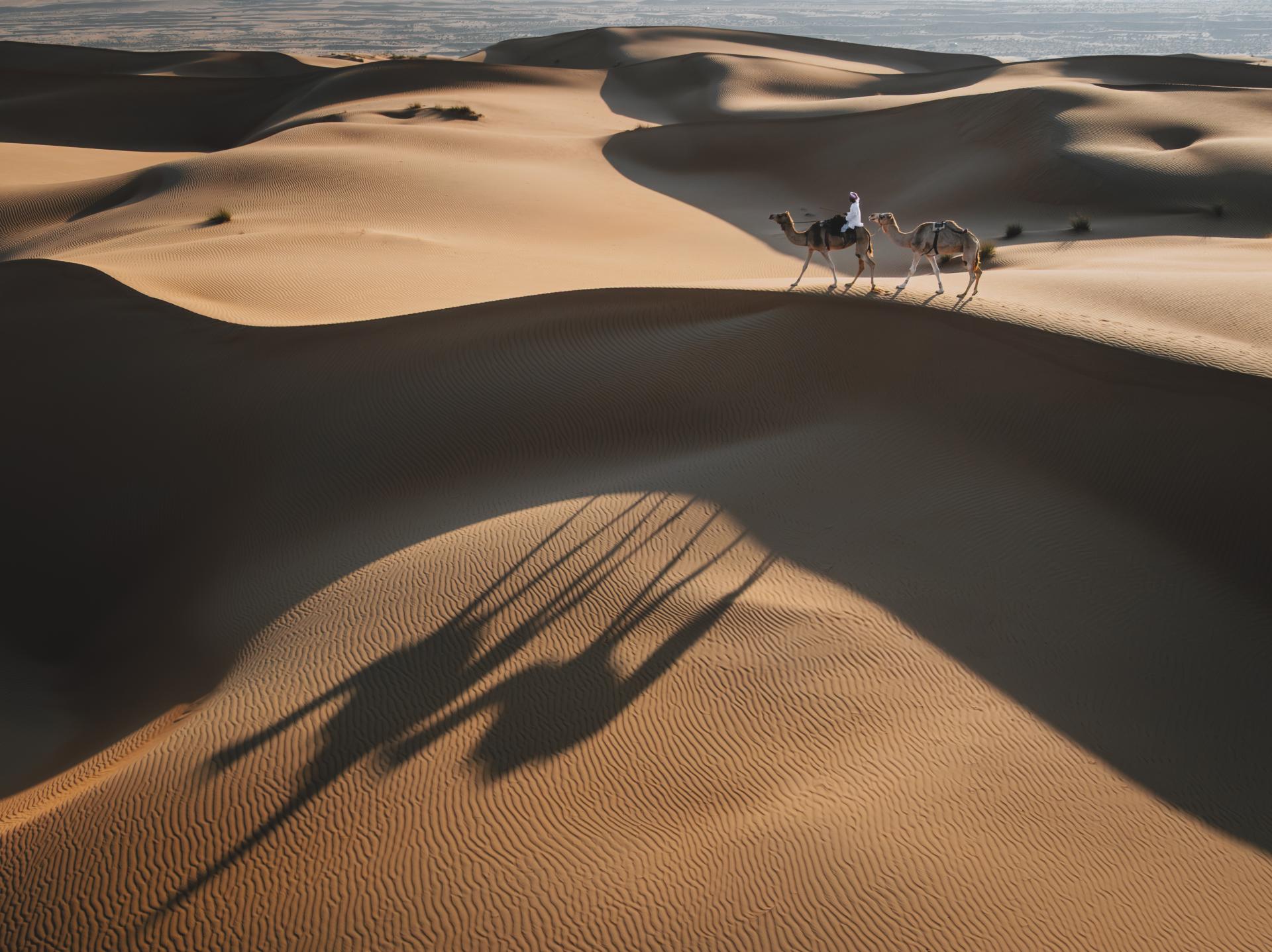 London Photography Awards Winner - Where Shadows Wander