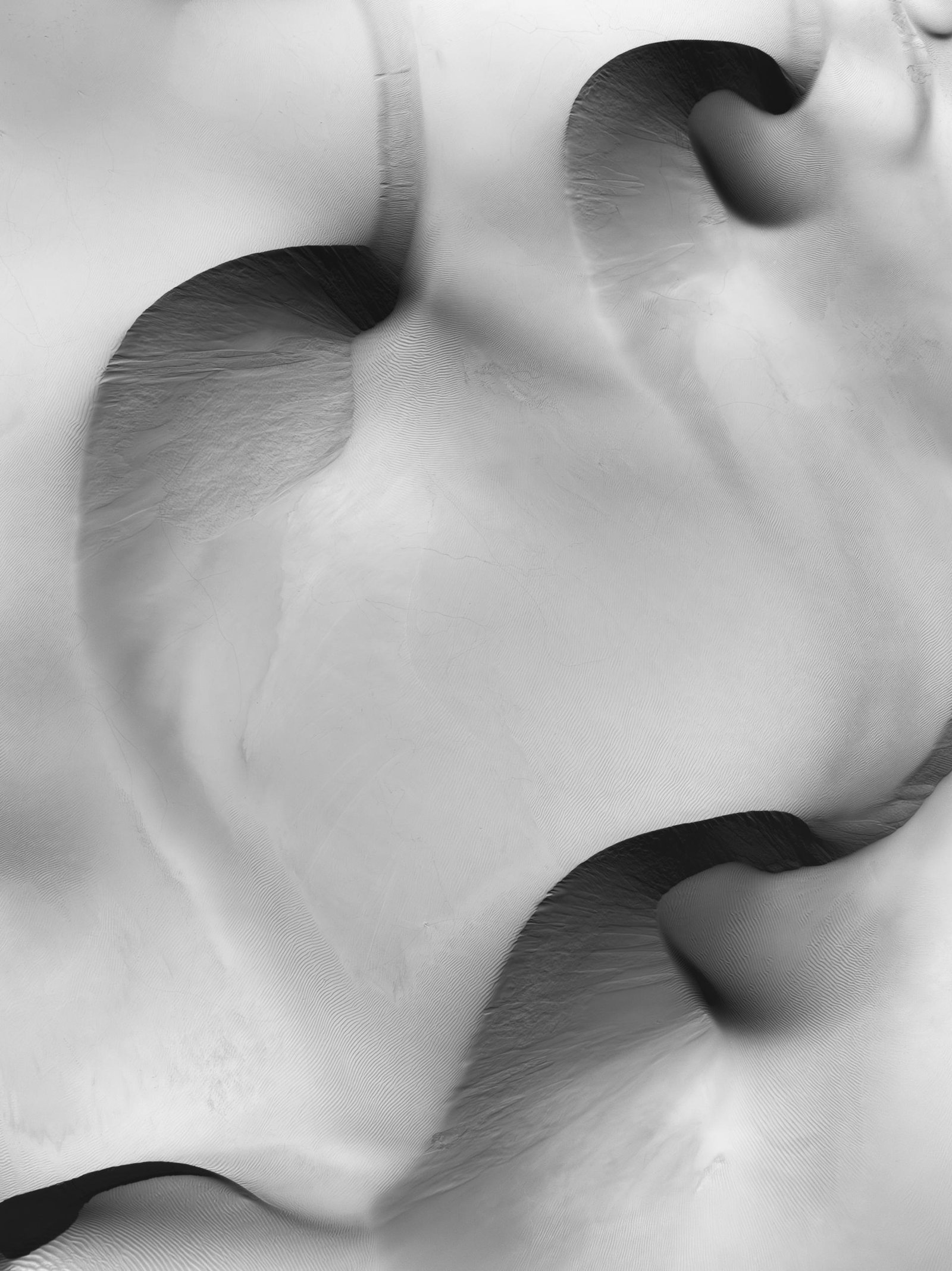 London Photography Awards Winner - In the Fold