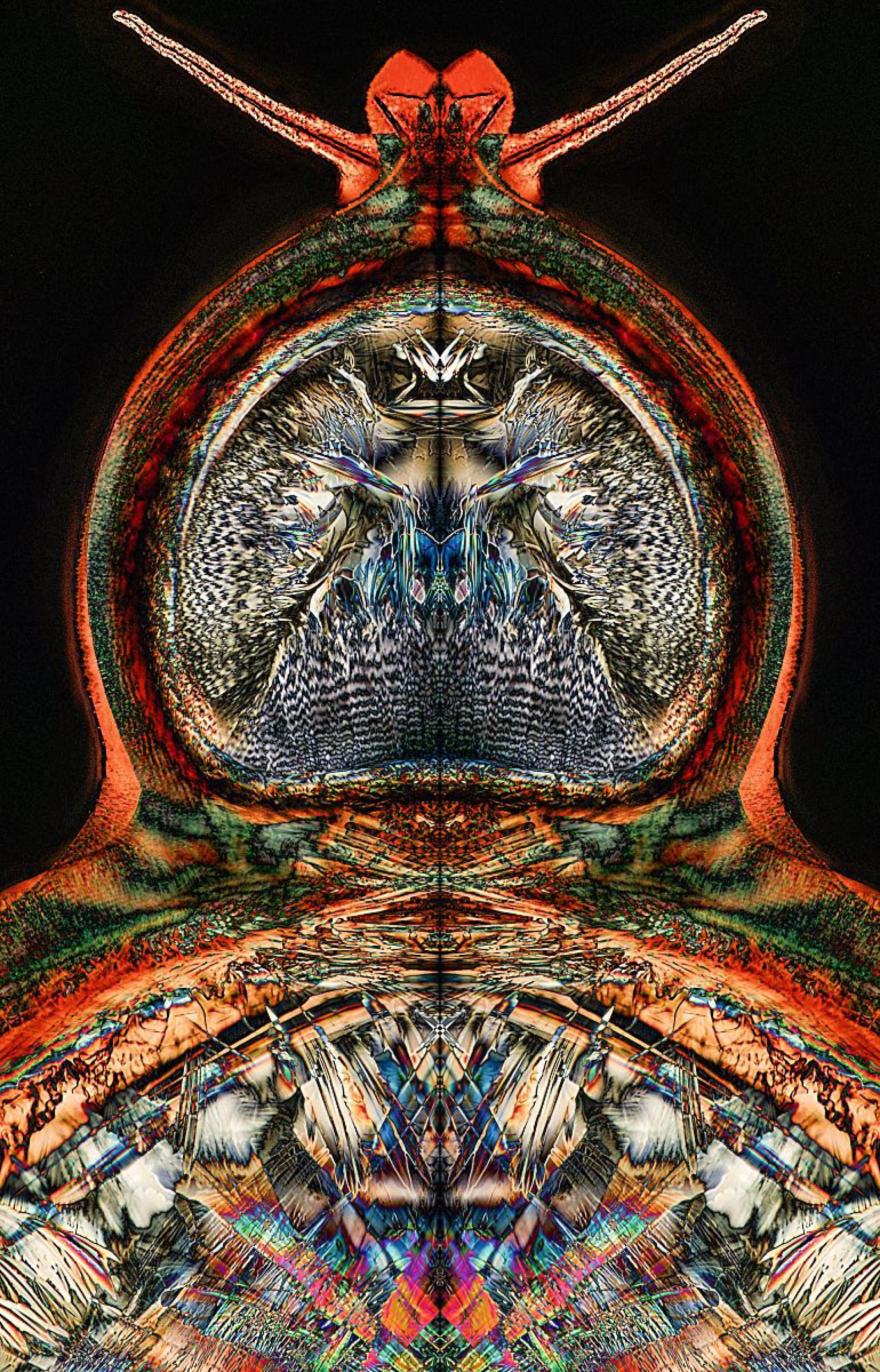 London Photography Awards Winner - Mirror Law: (UN)seen Beauty of Transformation