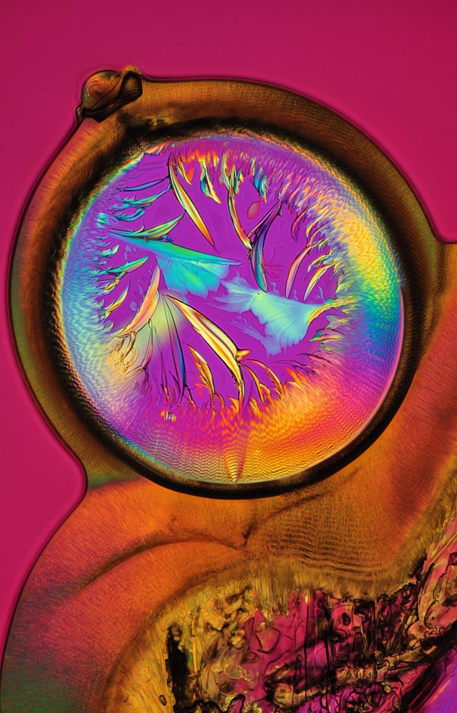 London Photography Awards Winner - Mirror Law: (UN)seen Beauty of Transformation