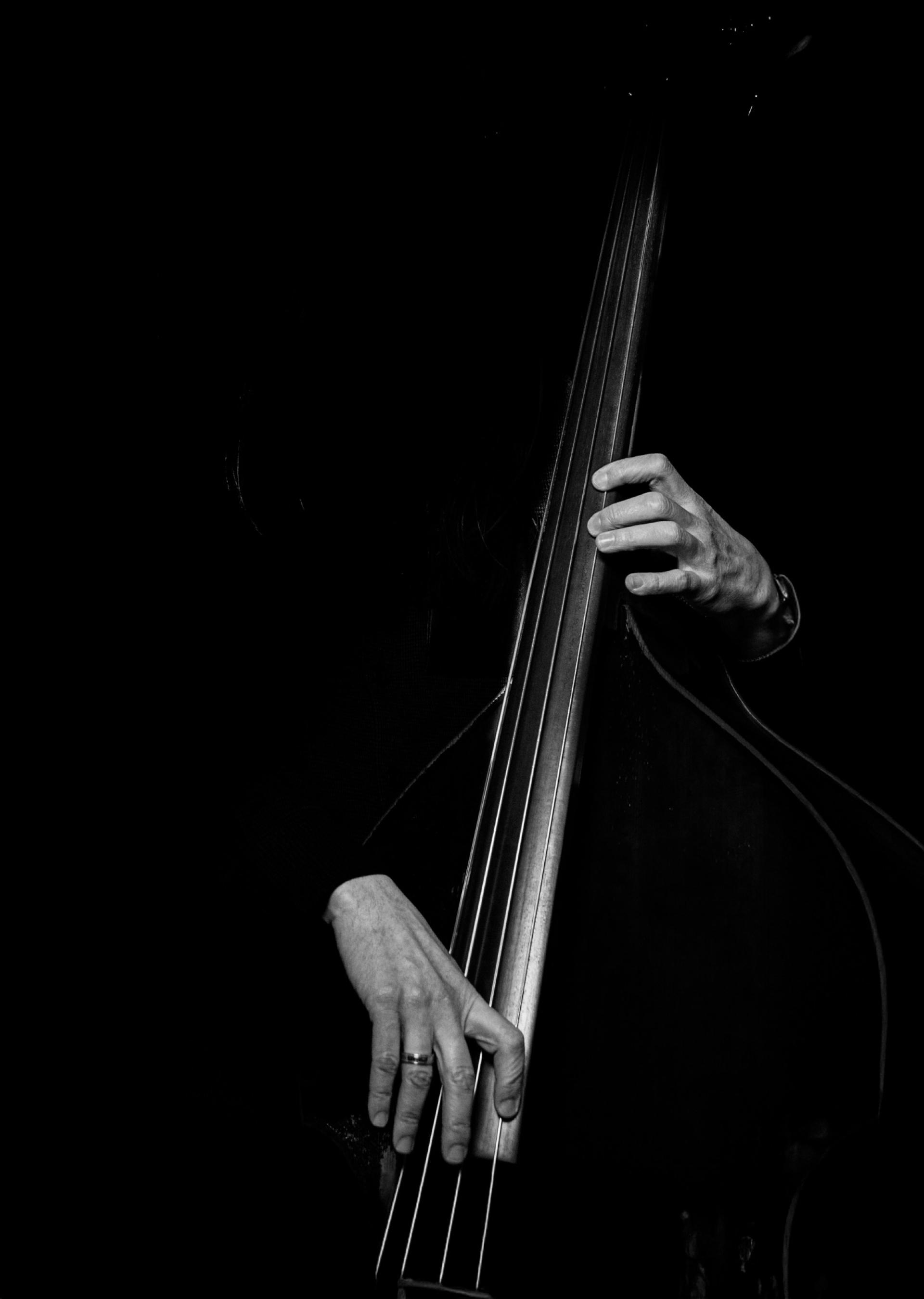 London Photography Awards Winner - Bass player 