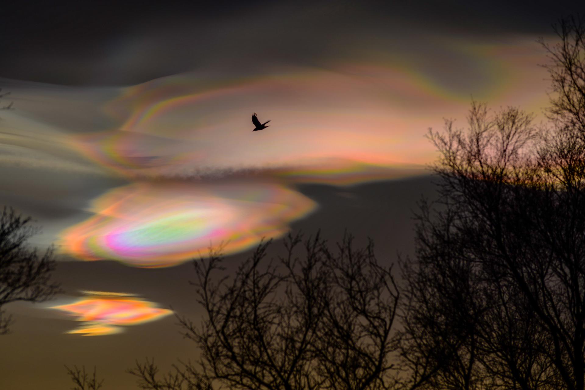 London Photography Awards Winner - Glitský