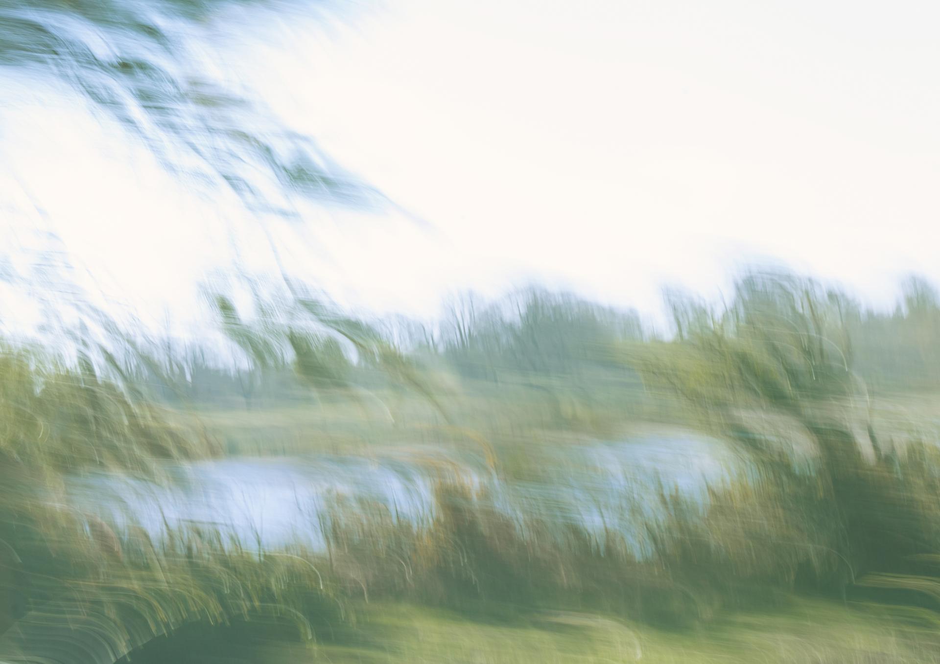 London Photography Awards Winner - The Saltings Nature Reserve