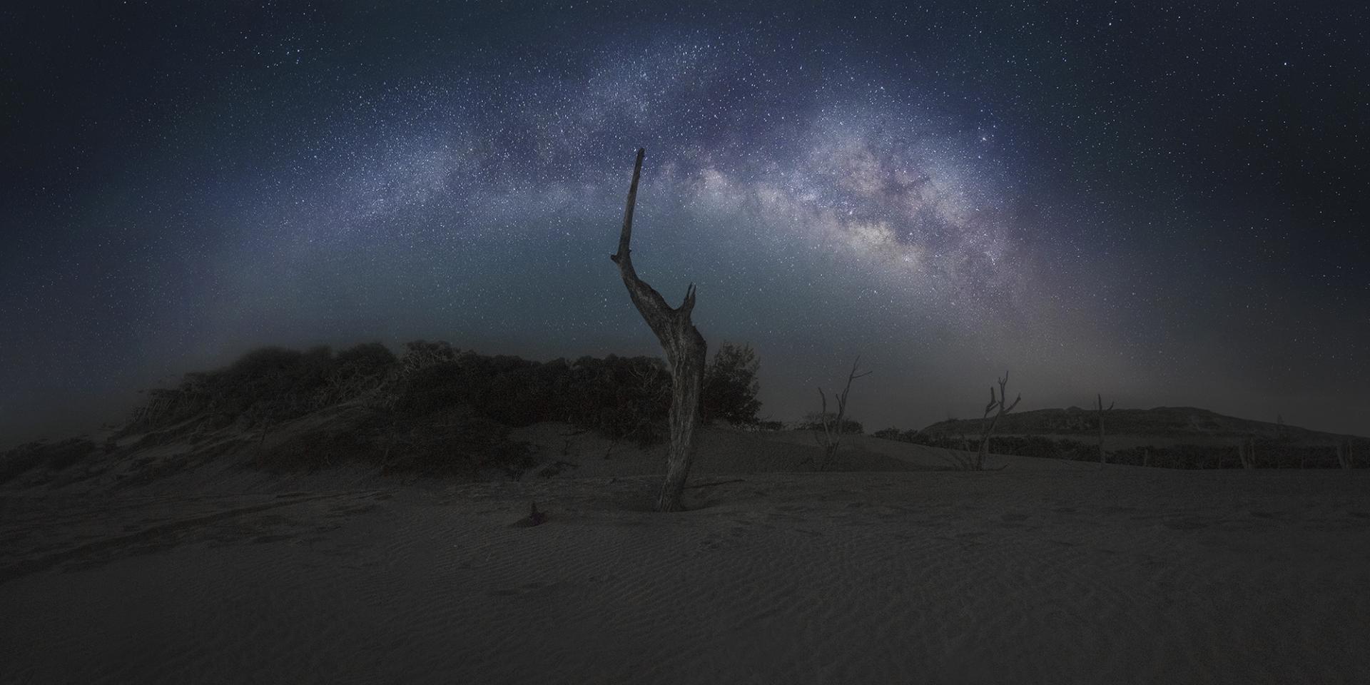 London Photography Awards Winner - Dead Tree Under The Starry Sky