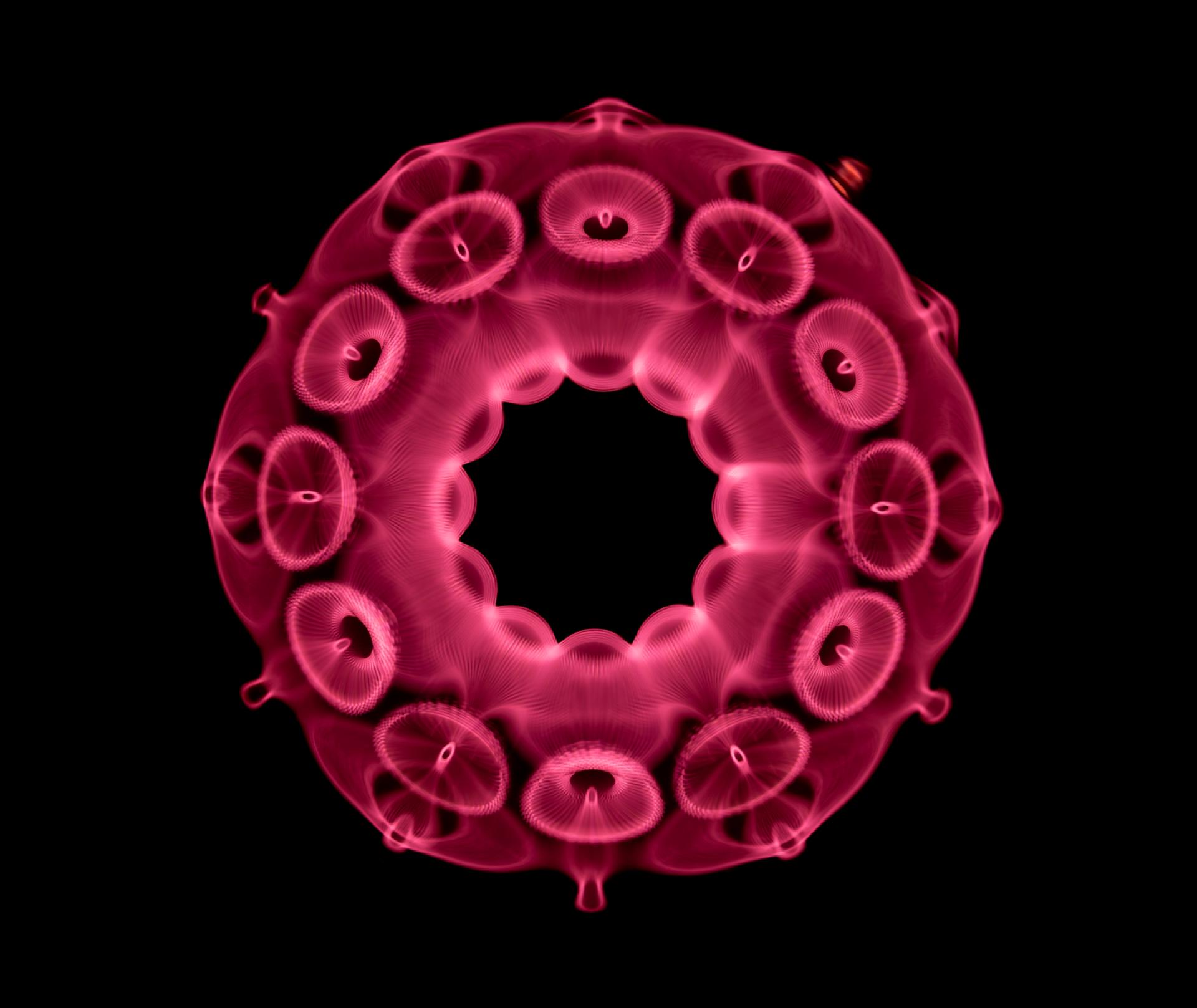 London Photography Awards Winner - Resonance