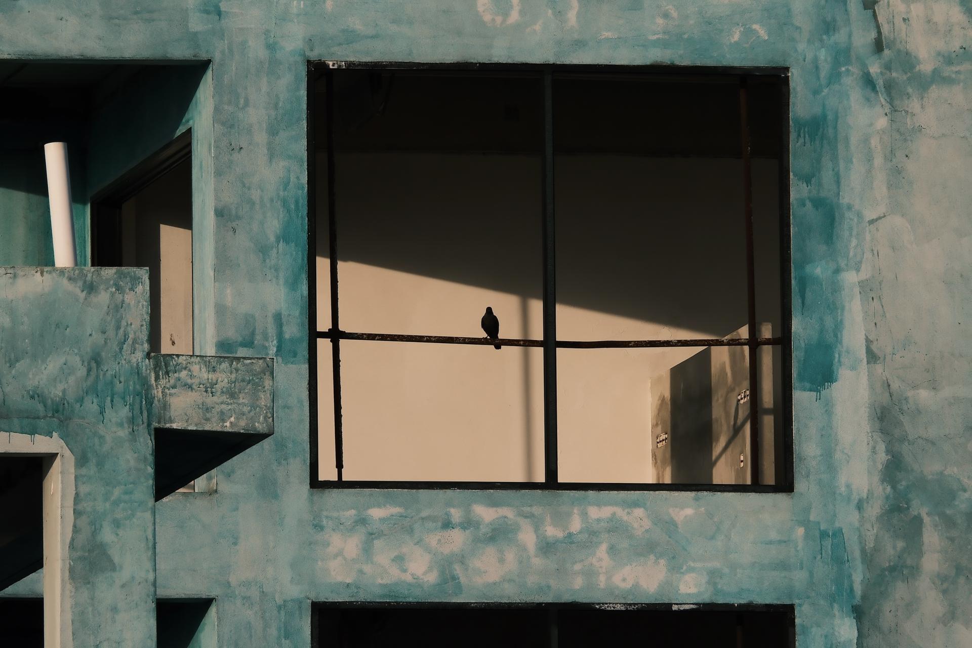 London Photography Awards Winner - Malé