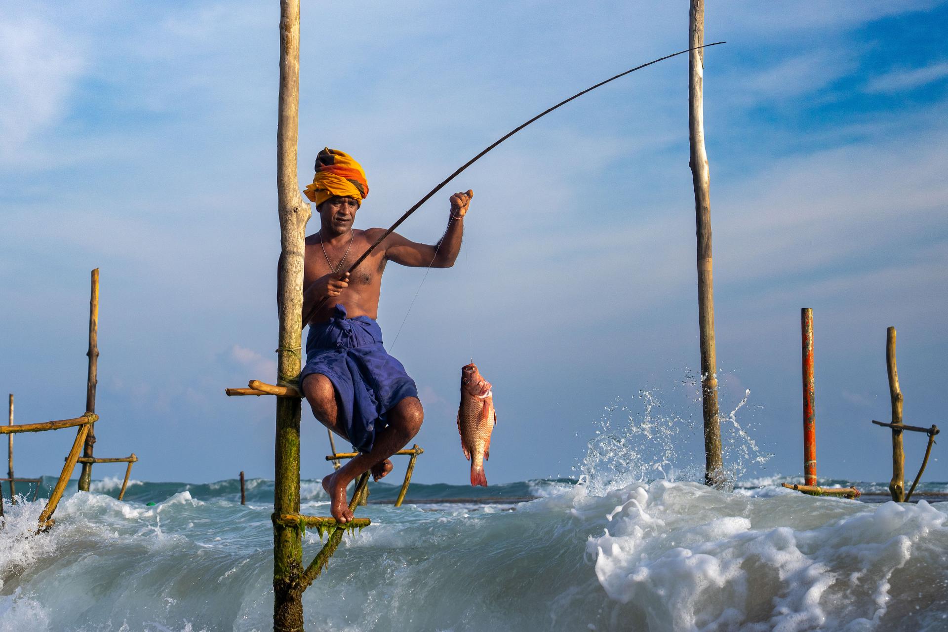 London Photography Awards Winner - Great Catch