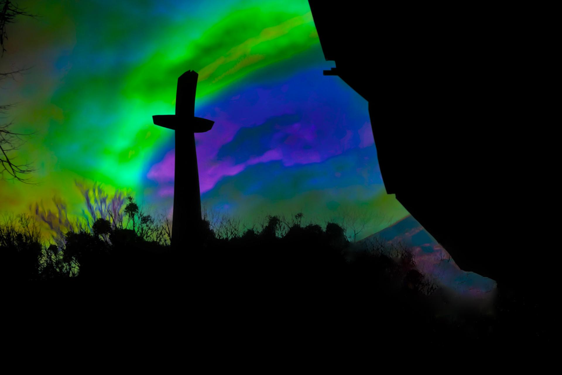 London Photography Awards Winner - Viridescent Visuality
