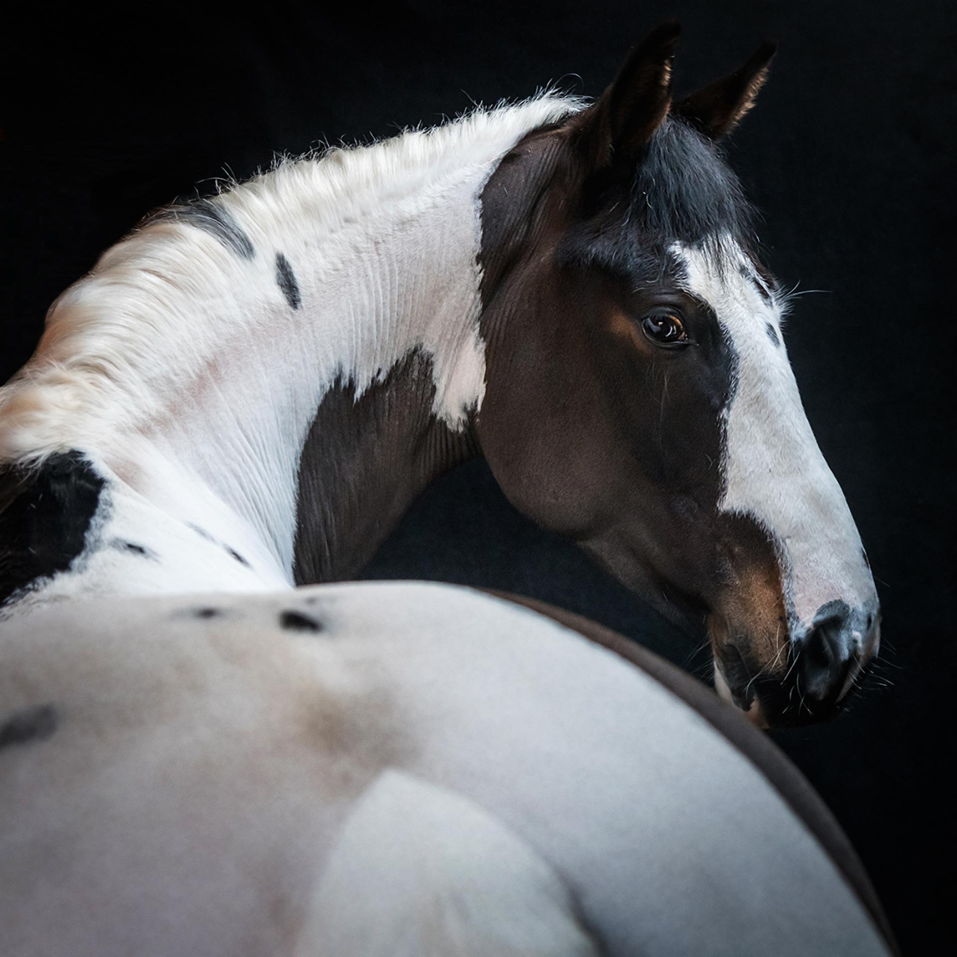 London Photography Awards Winner - Roni