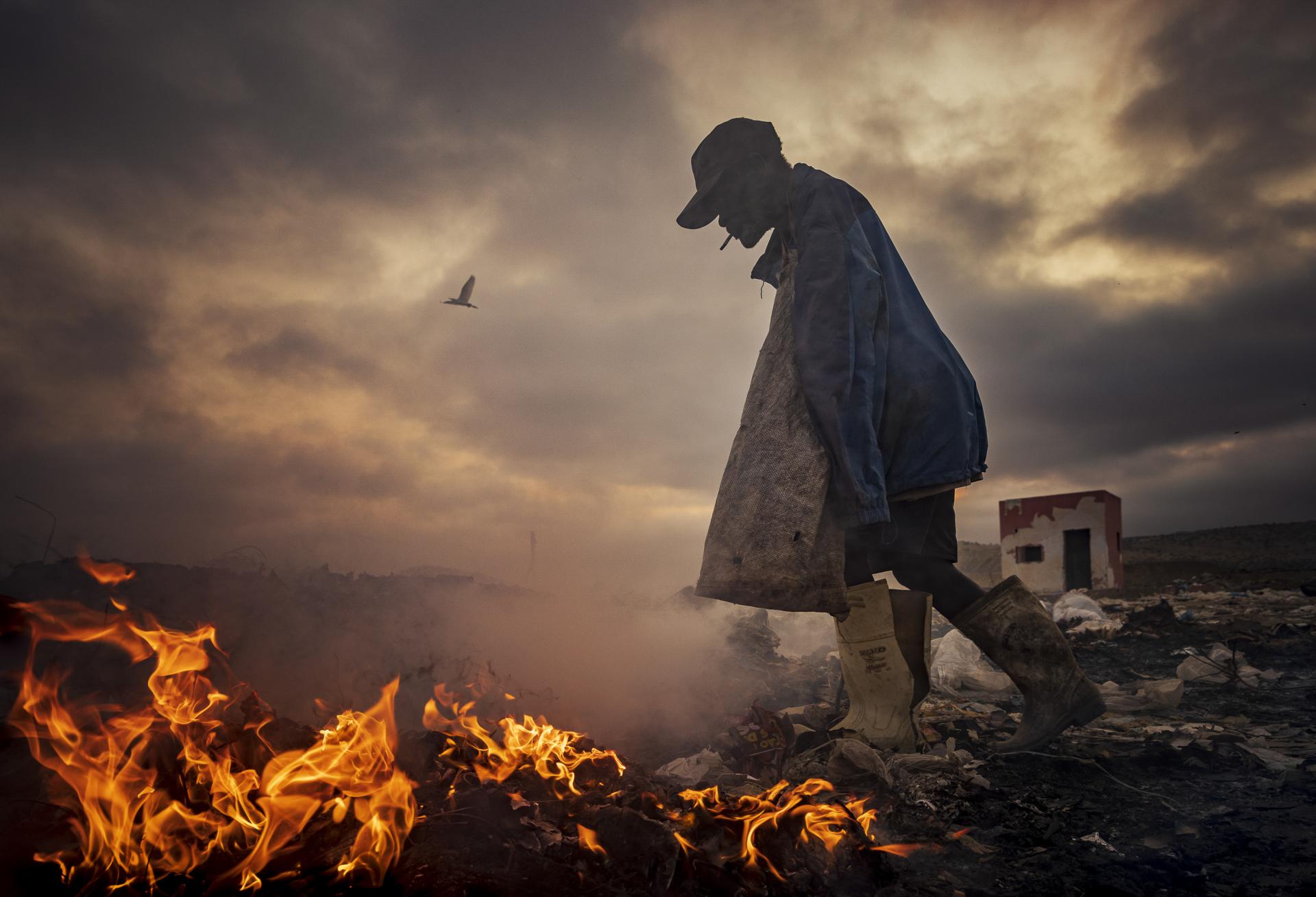 London Photography Awards Winner - Scavengers 