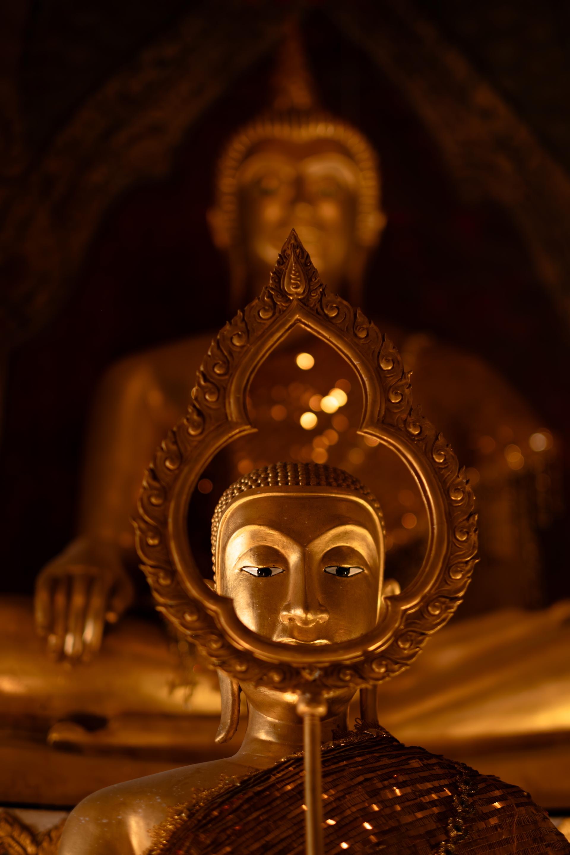 London Photography Awards Winner - Enlightened