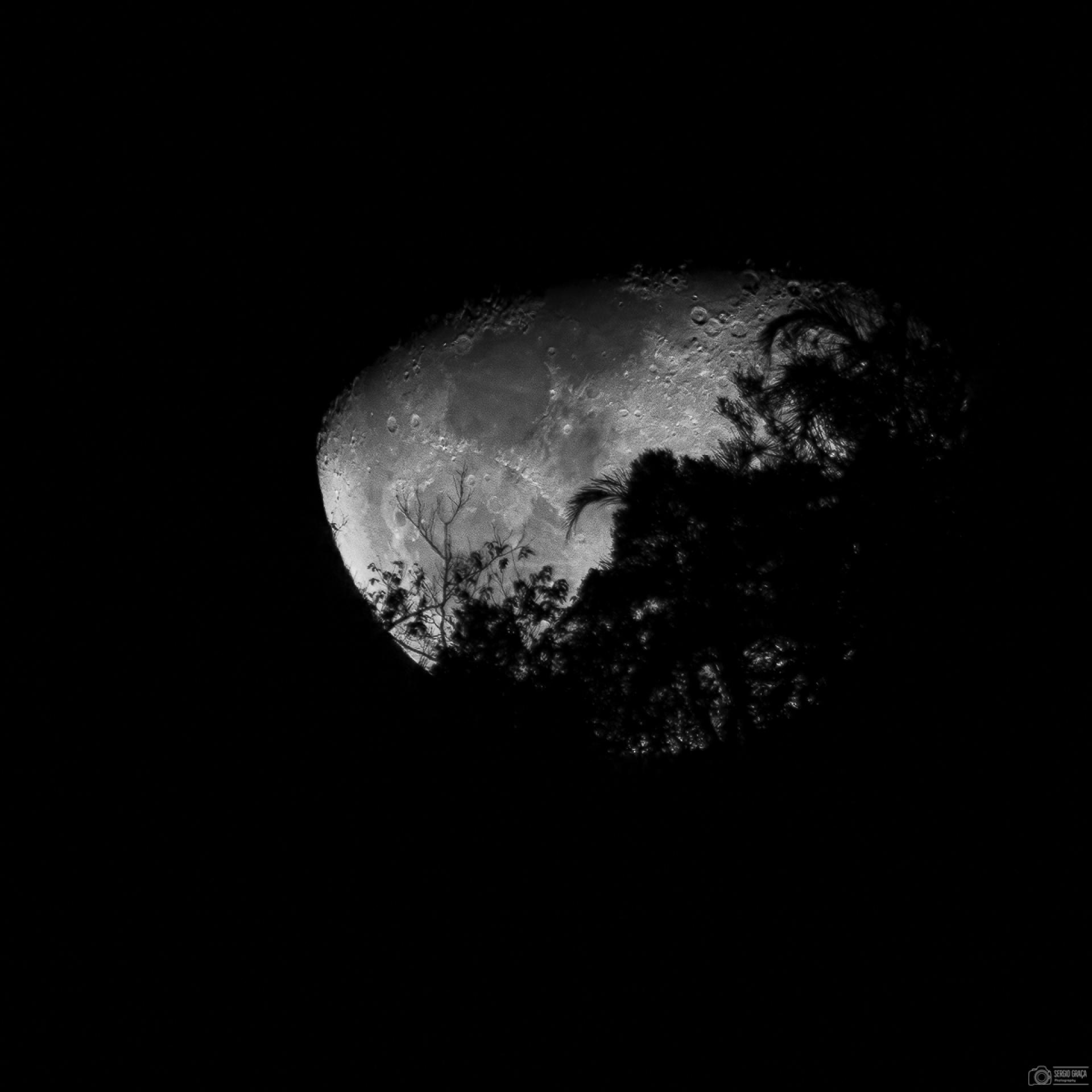 London Photography Awards Winner - The Rising Moon