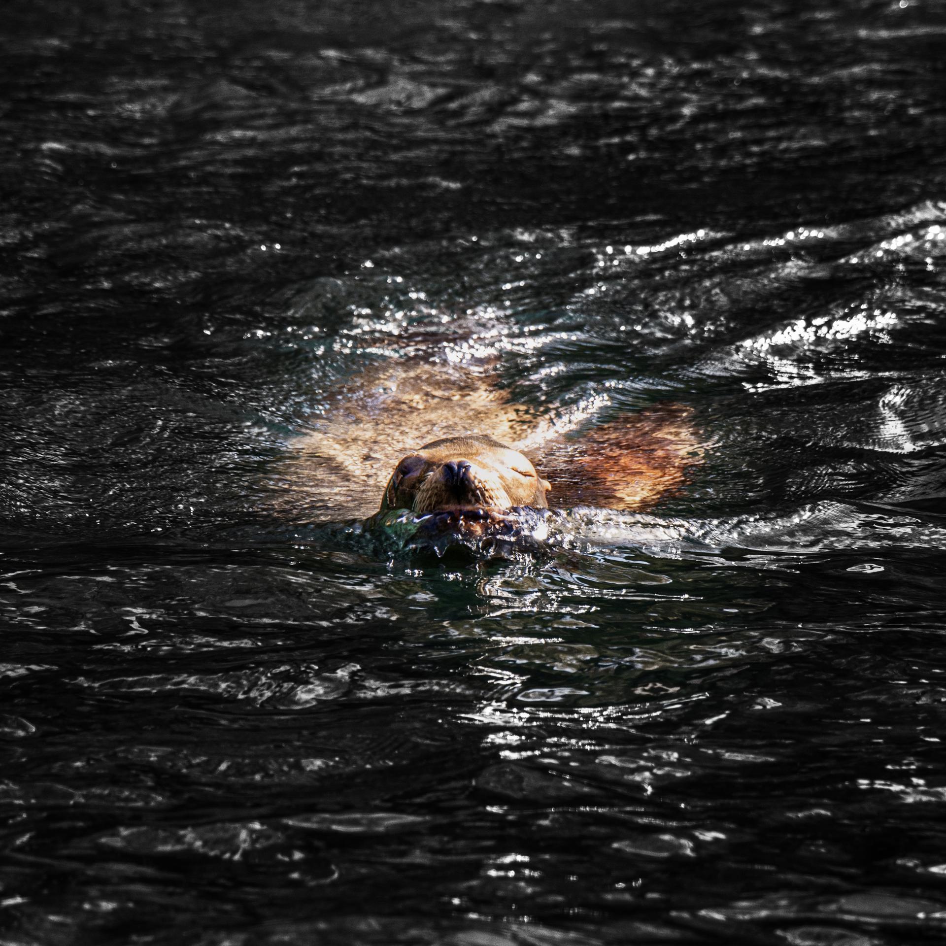 London Photography Awards Winner - It’s Bath Time – Relax!