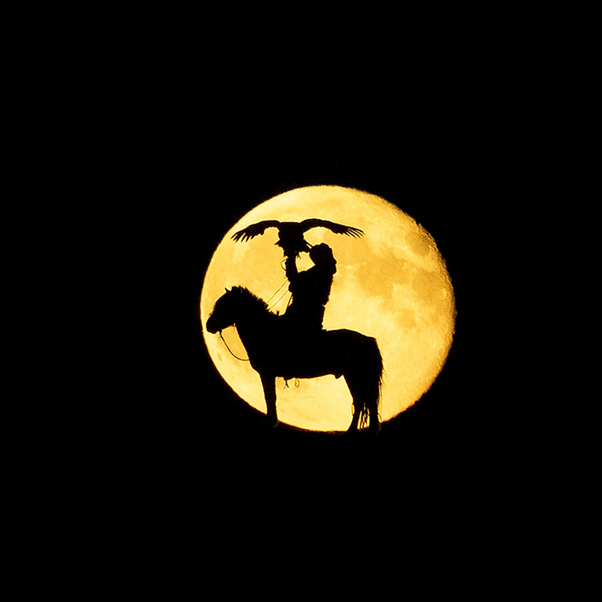 London Photography Awards Winner - Eagle Hunter in the Moon