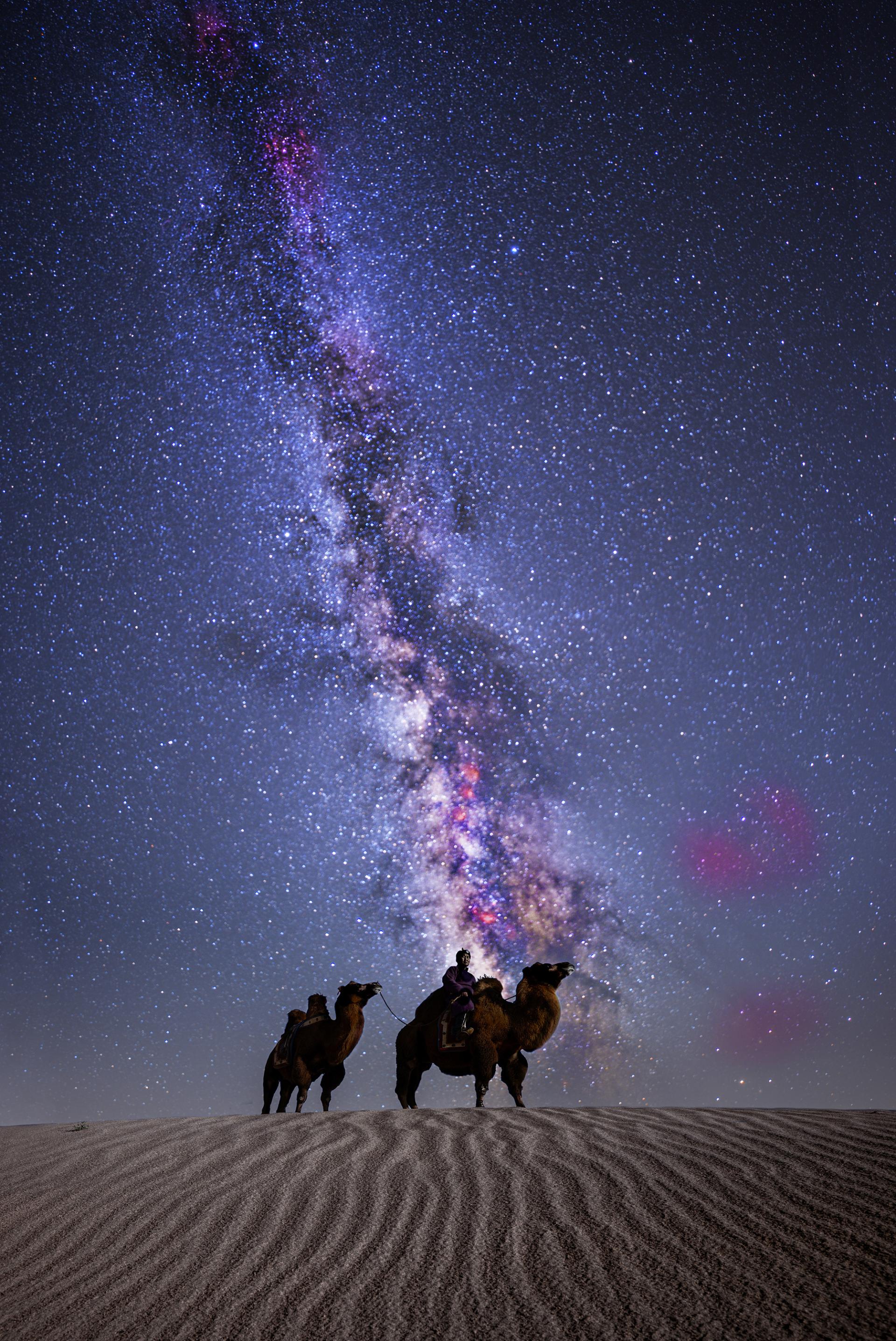 London Photography Awards Winner - CAMEL WITH MILKYWAY