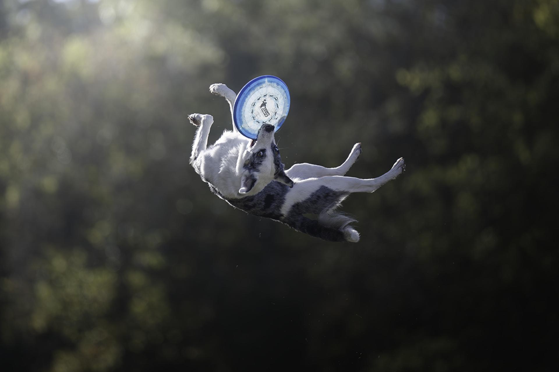 London Photography Awards Winner - Gravity Defied