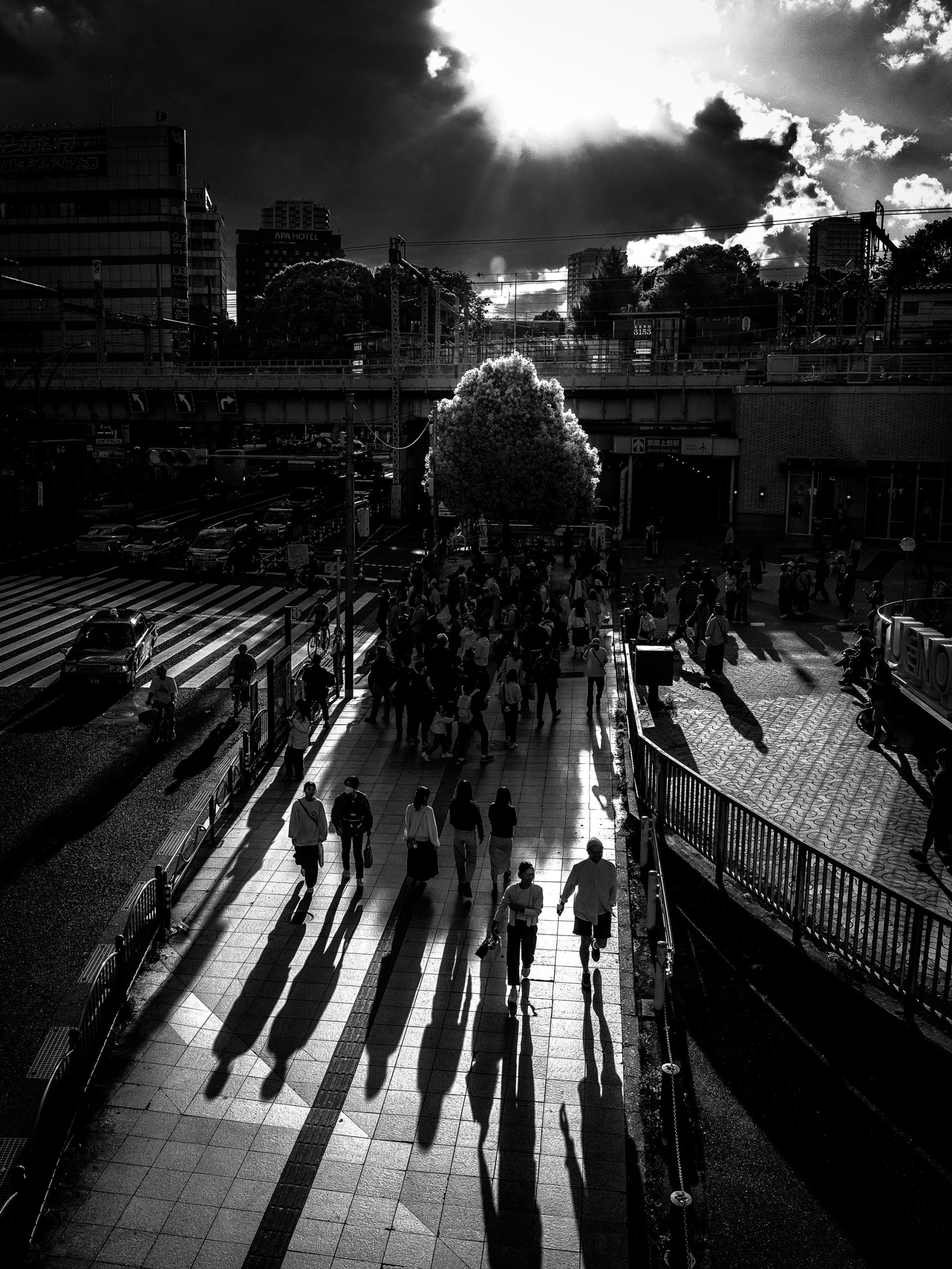London Photography Awards Winner - The Tree That Remains