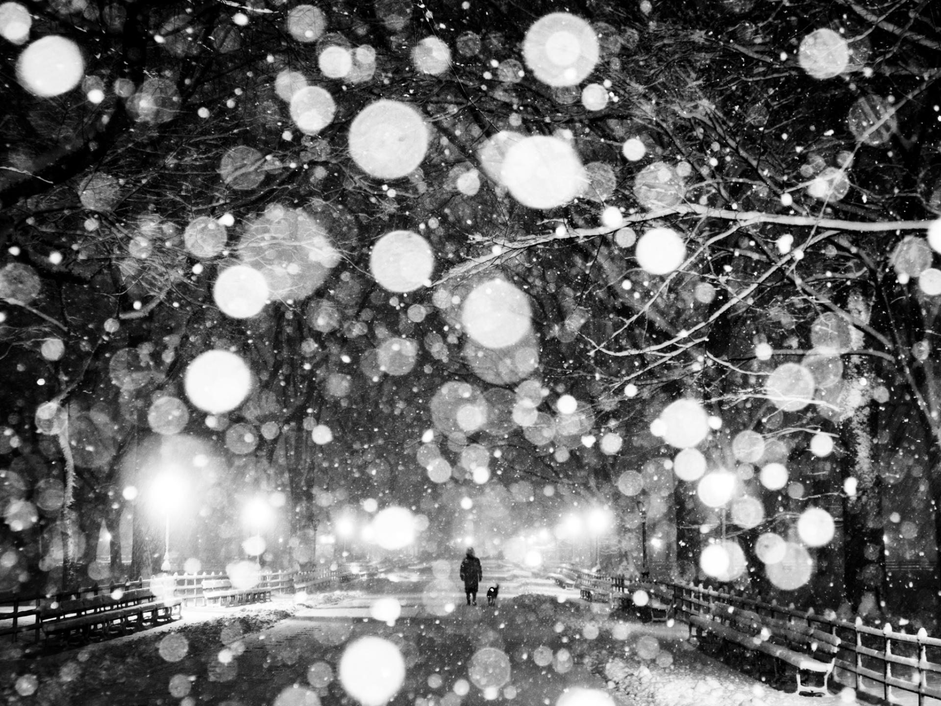 London Photography Awards Winner - Wonderland 2