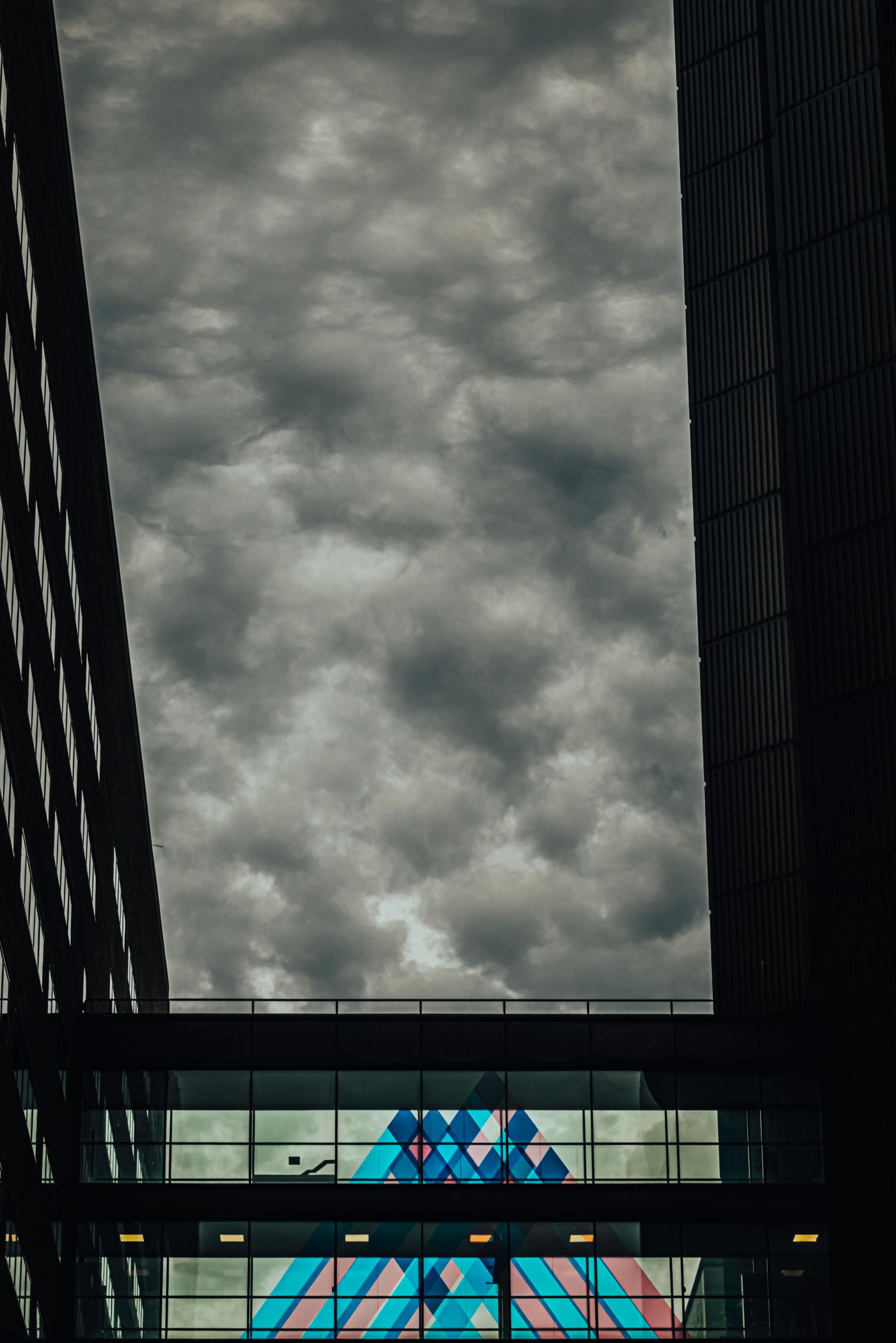 London Photography Awards Winner - Looking up