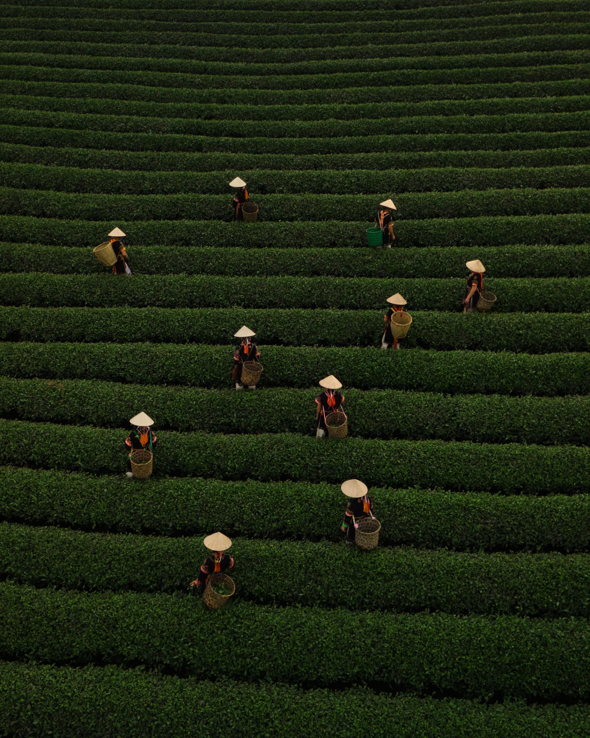 London Photography Awards Winner - Traditions from Above: Stories of Vietnam’s Craft & Culture