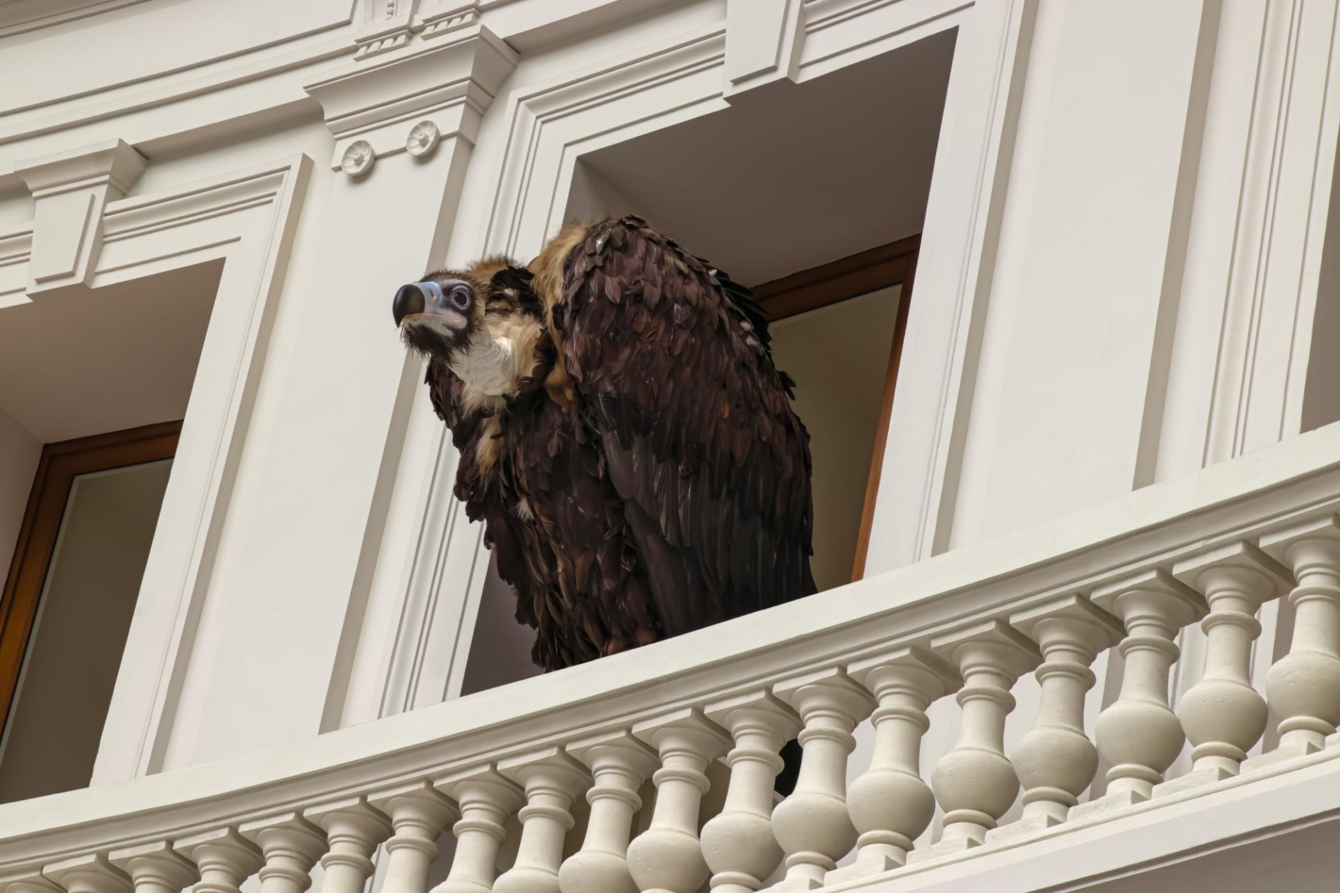 London Photography Awards Winner - Bourse
