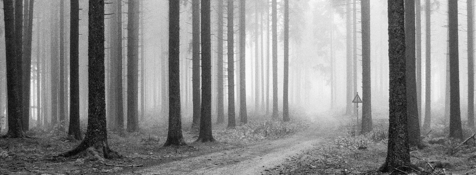 London Photography Awards Winner - Danger ahead